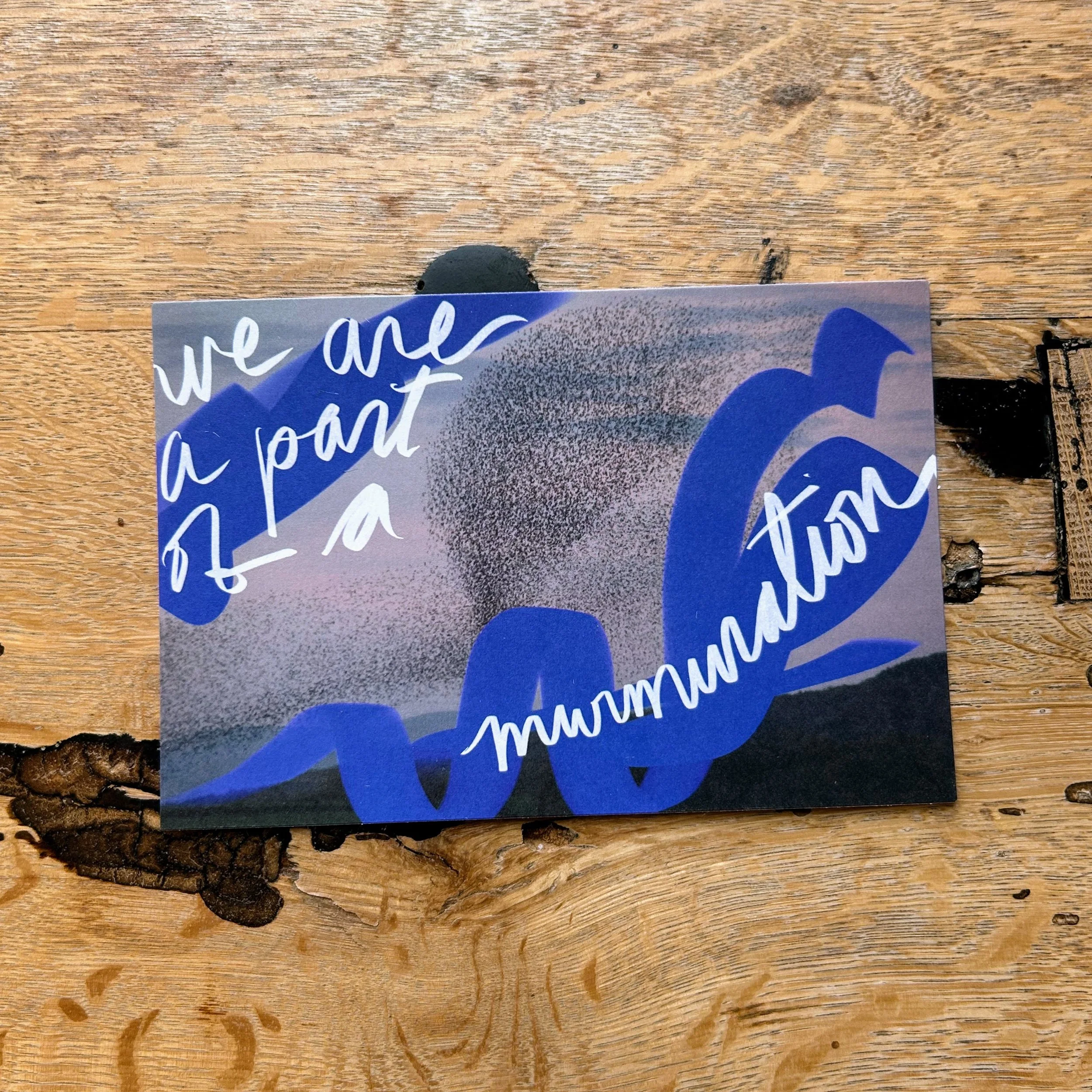 postcard pack murmuration.jpg