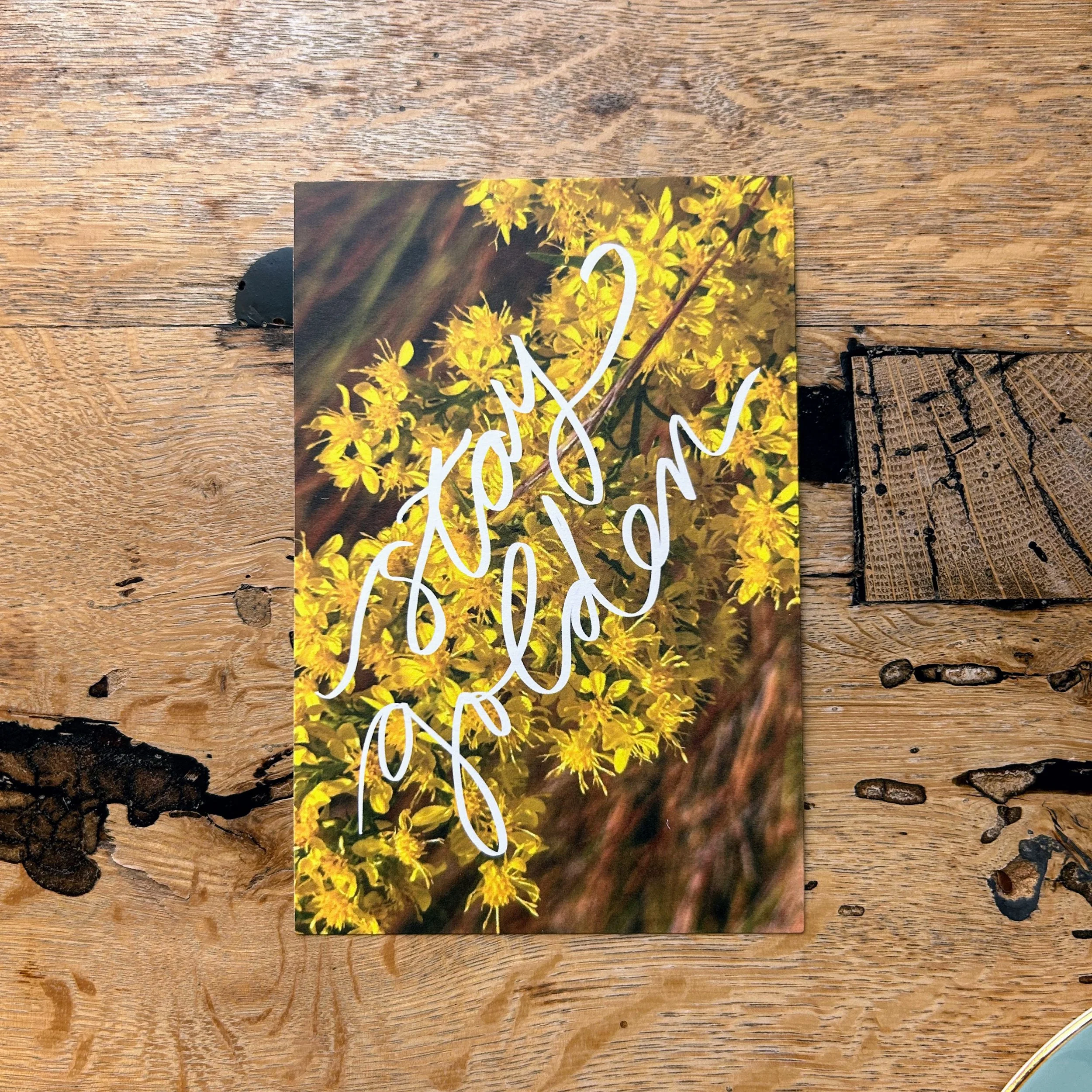 postcard pack golden.jpg