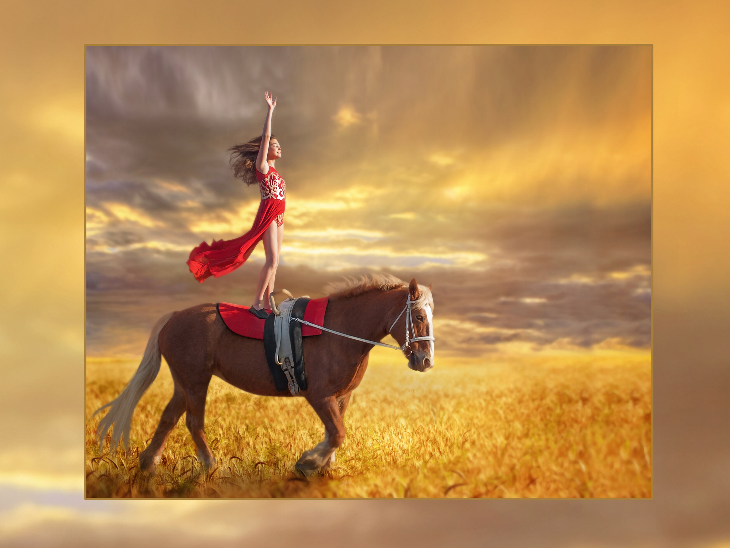 horse-equestrian-photographer-painter-painting-san diego-girl-rancho santa fe-fairbanks ranch-vaulting.jpg