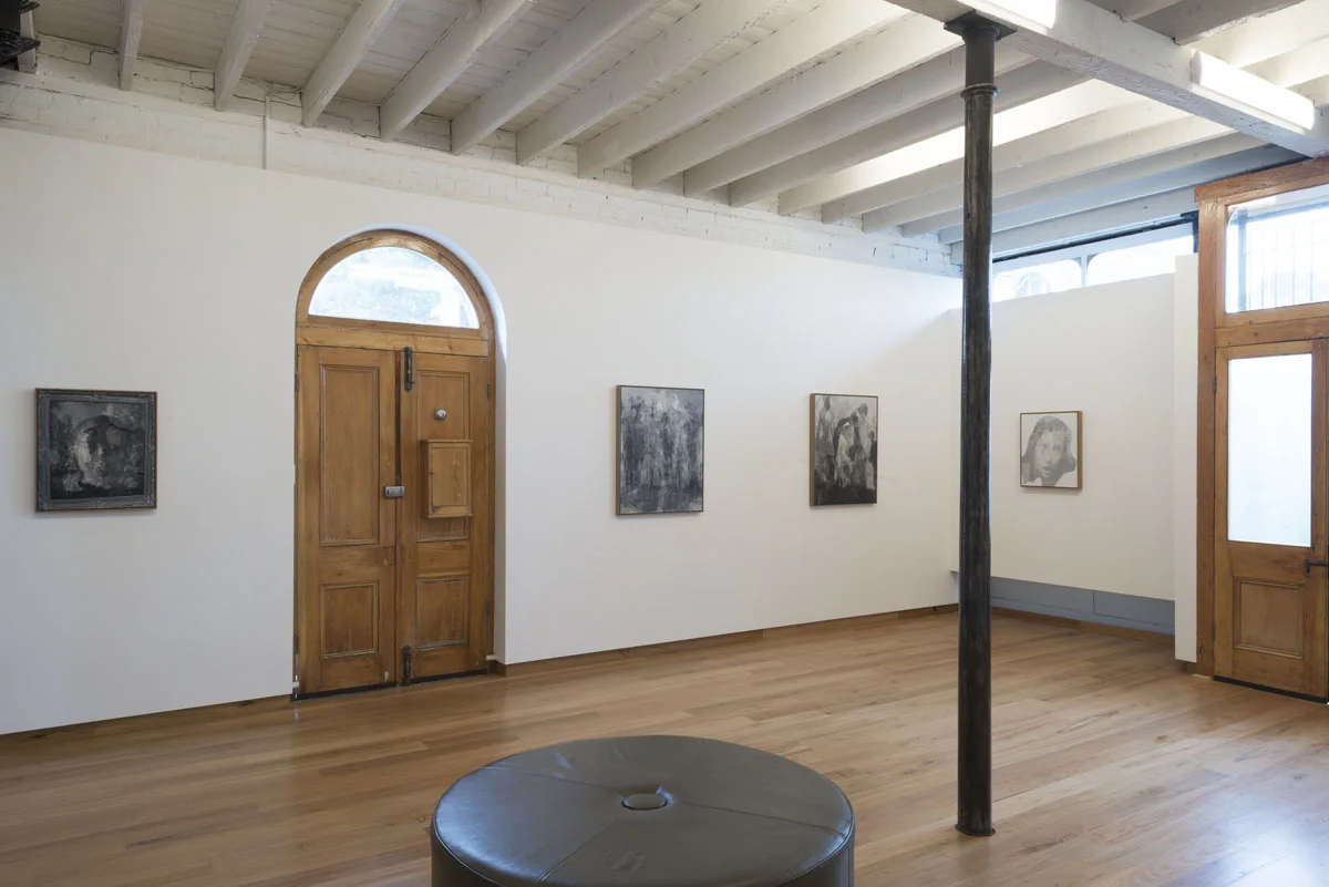 Julie Fragar Grey Paintings 2016 ARTIST BIO