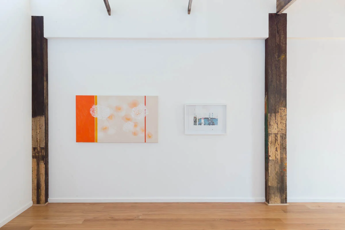 Denise Green Drawing With My Father's Photos: Recent work by Denise Green 2017 ARTIST BIO