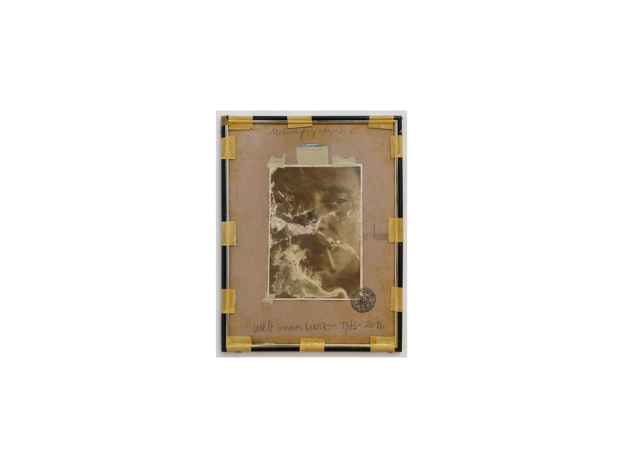 Bernhard Sachs Metempsychotic , 2016 mixed media on photograph on framed paper 36 x 27cm ARTIST BIO