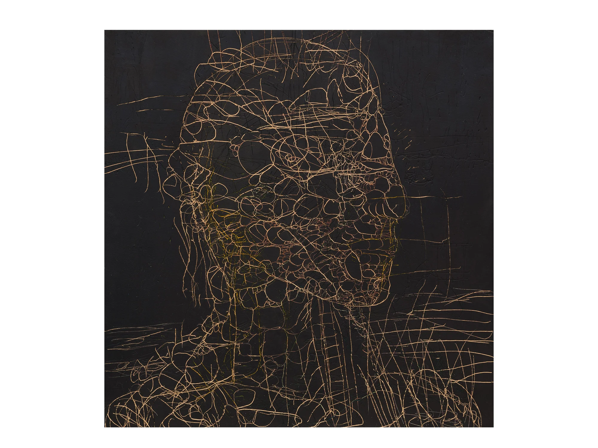 Robert Doble Captain Cook , 2018 oil on archival marine ply 120 x 122cm ARTIST BIO