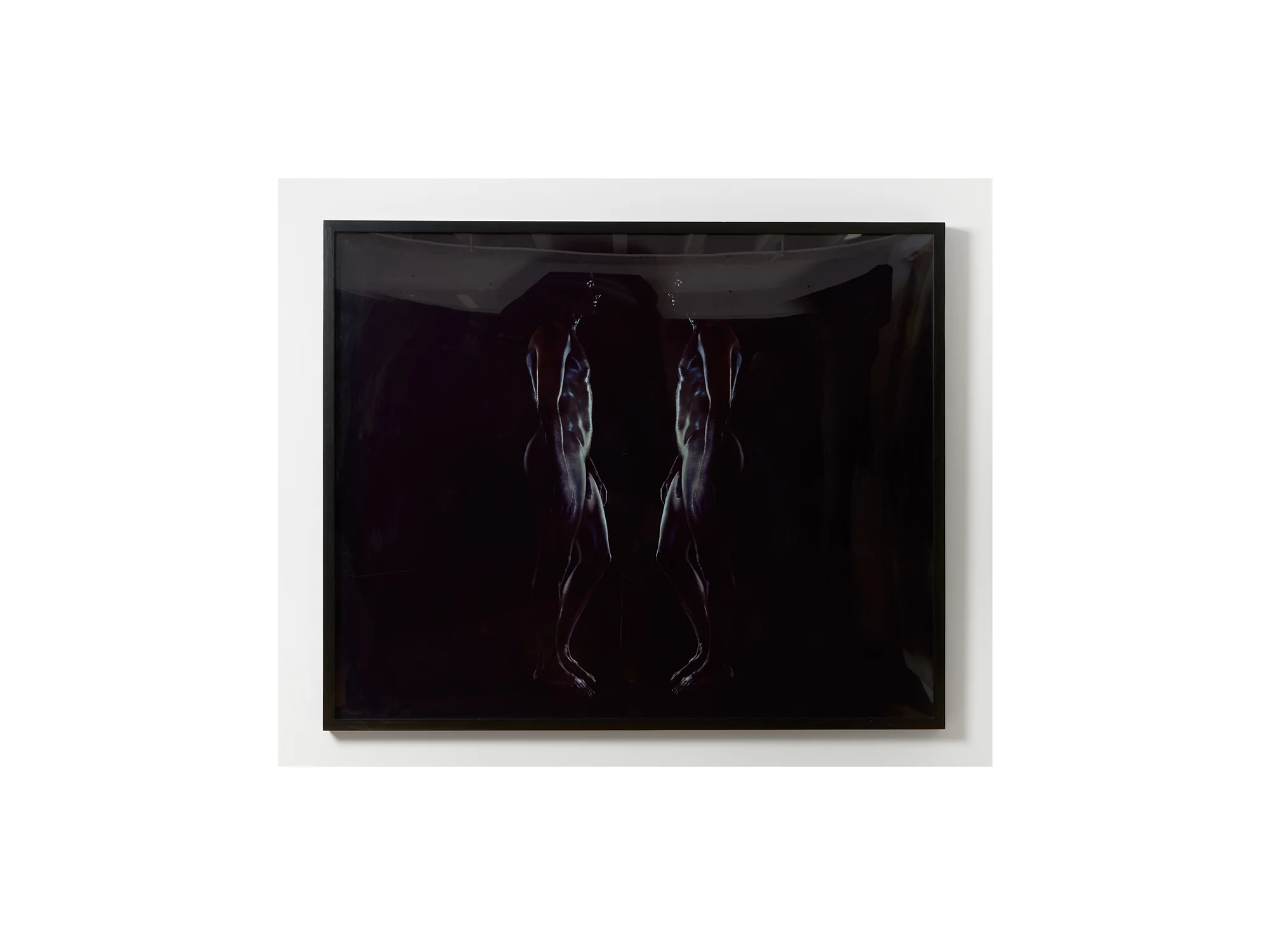 Brook Andrews Narcissus , 2003 Cibachrome print 160 x 180cm edition 3 of 5