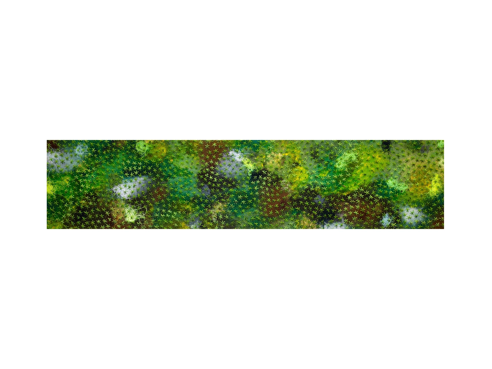 Stephen Eastaugh Dirty Moss Stars , 2018 acrylic, cotton, wool on belgian linen 32 x 120 cm ARTIST BIO