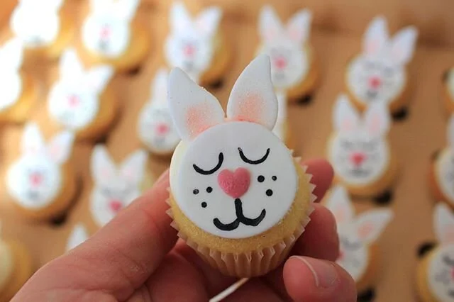 Easter bunny dropped these off to some lucky people! Who needs Easter eggs when you have Easter cupcakes?! #missmollyscakes #melbournecupcakes #melbournesbestcupcakes #eastercupcakes #isoeaster