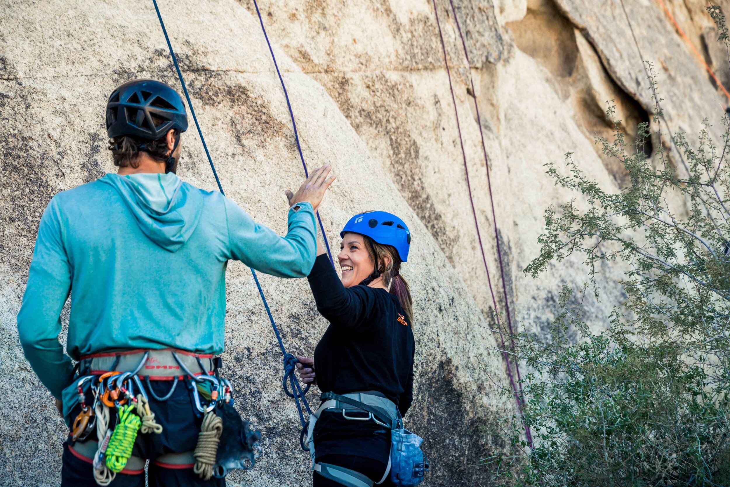 Joshua Tree High Five.jpg