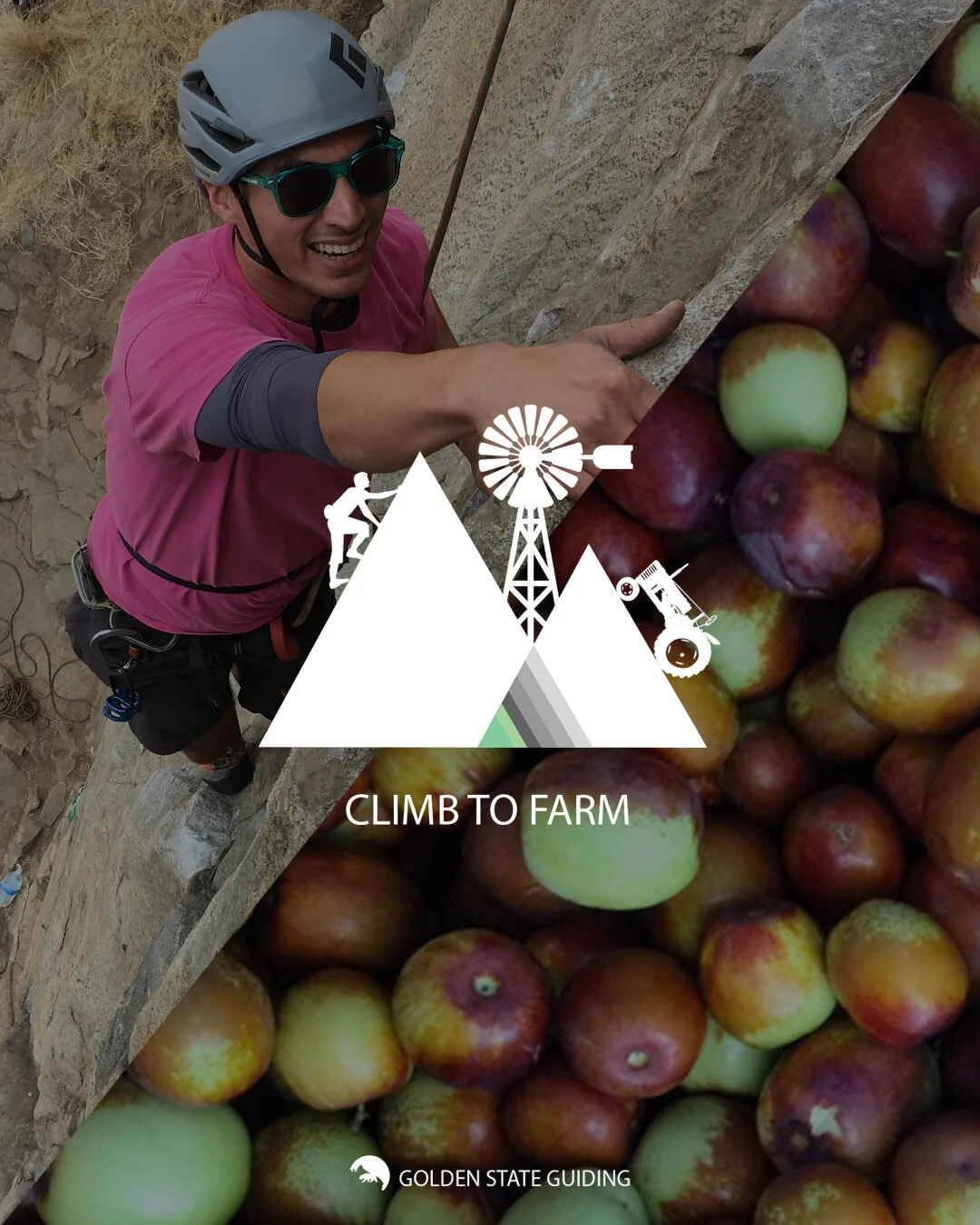 Climb to Farm IG Post (3) 1080x1350.jpg