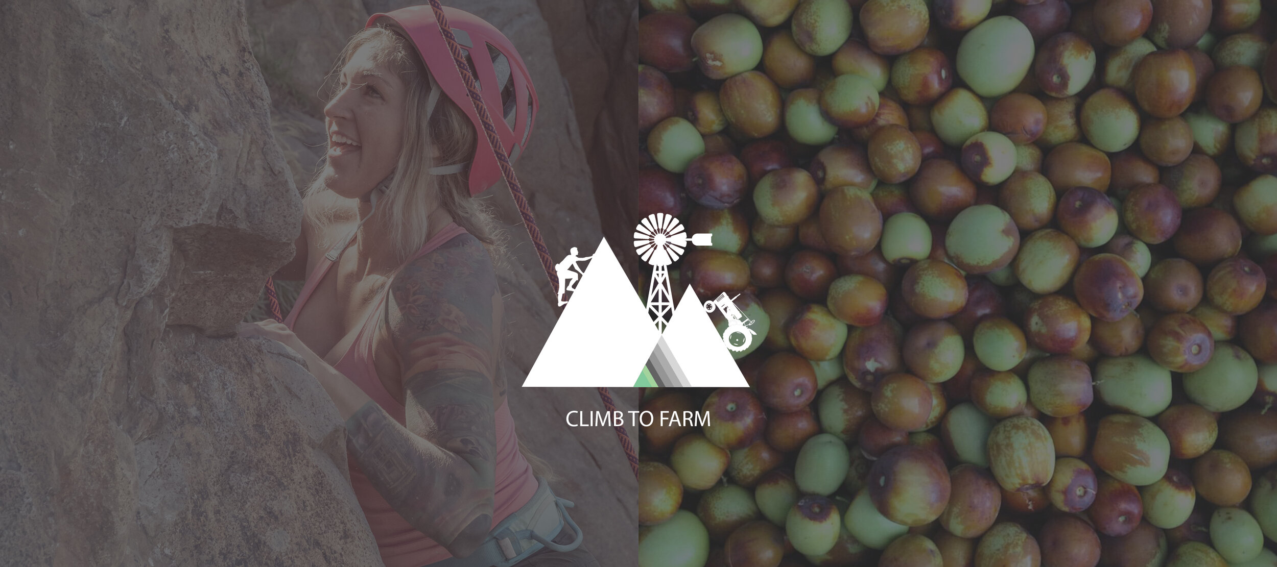 Climb to Farm Rock Climbing Event // San Diego