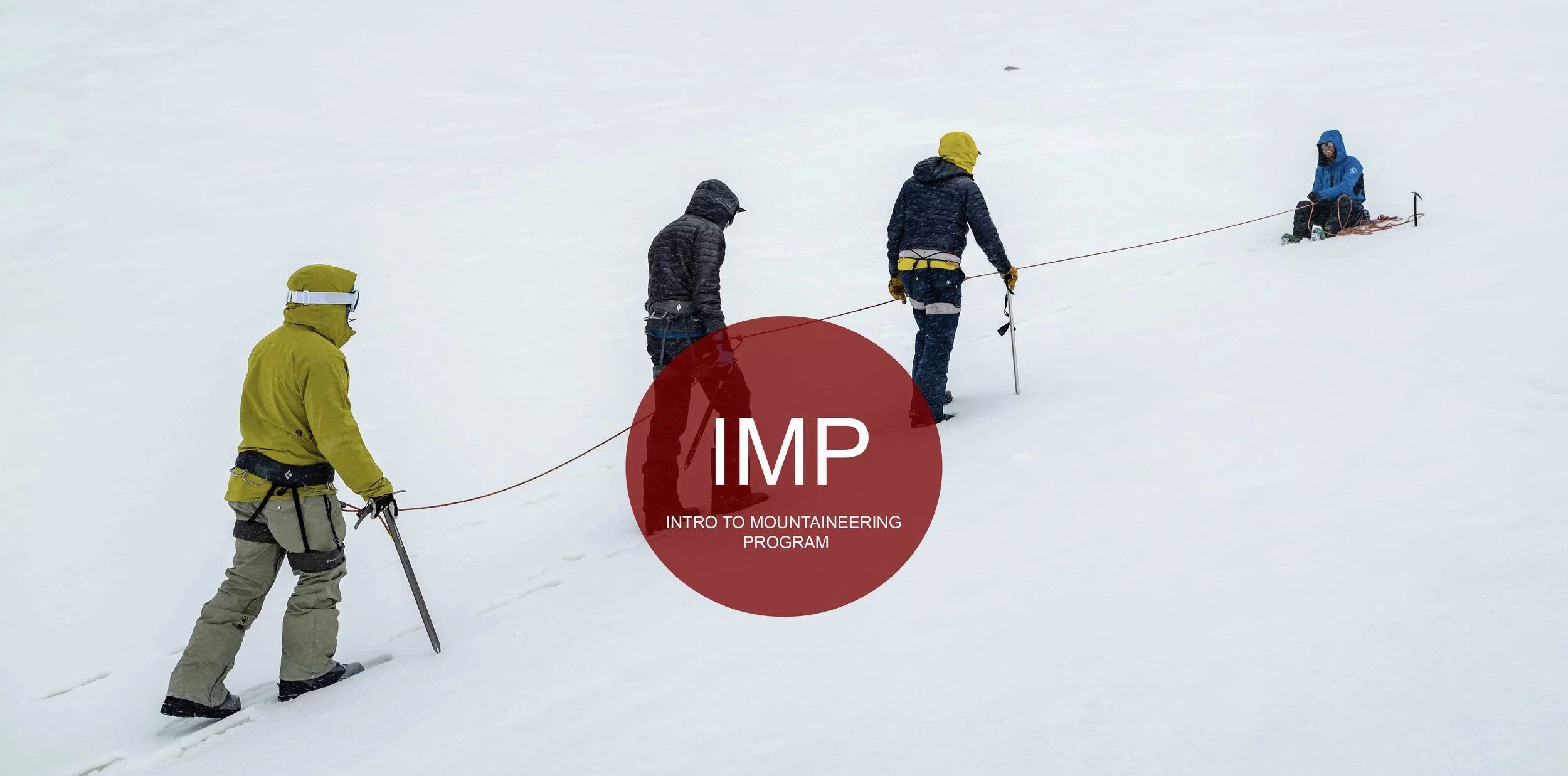IMP Program Banner(1).jpg