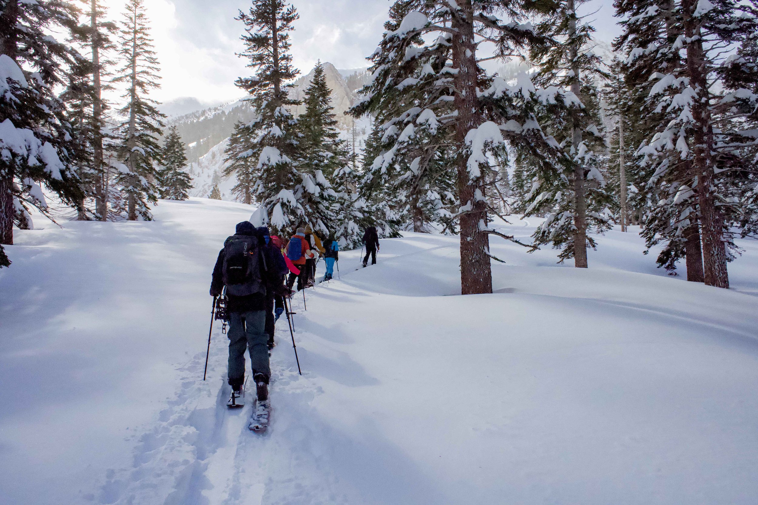 GSG Split 101 - Weston Backcountry Day 2-030.jpg