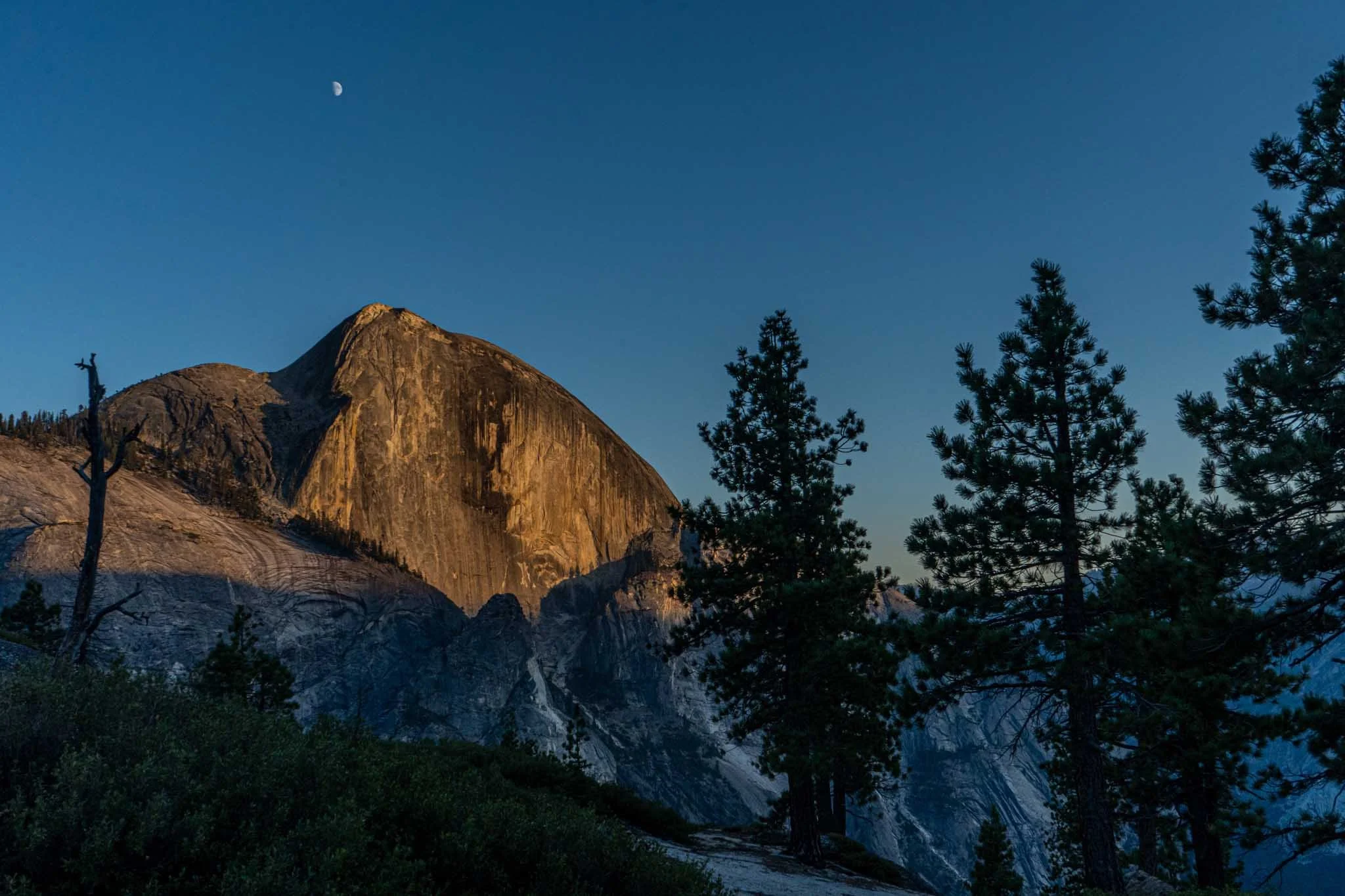 LWO Yosemite _23-057.jpg