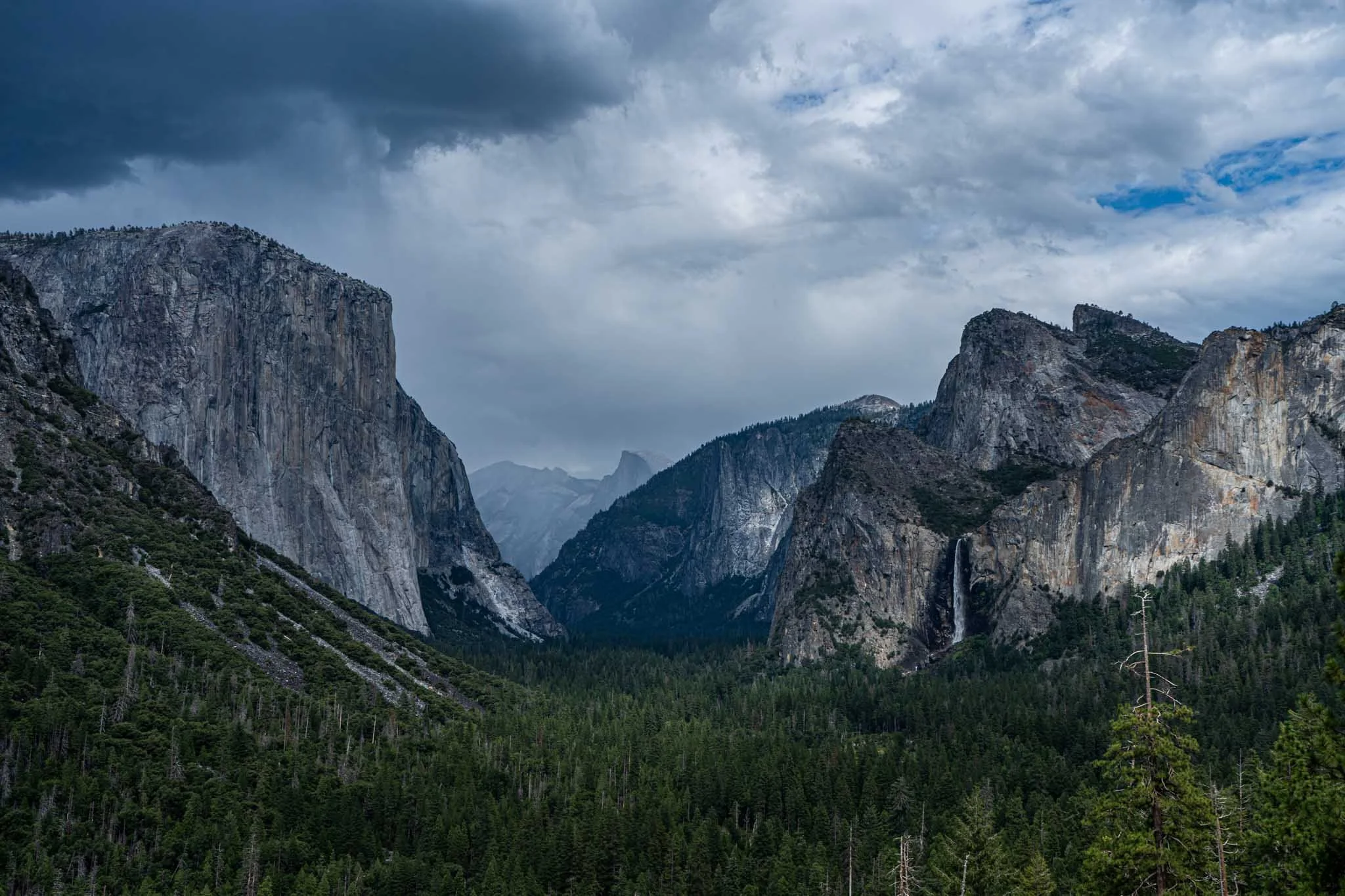 LWO Yosemite _23-004.jpg