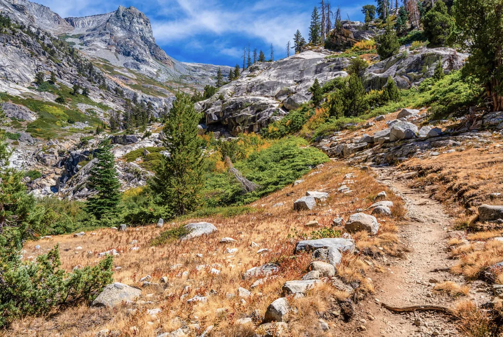 Sequoia National Park.jpg