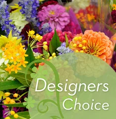 Designer's Choice - Best Value