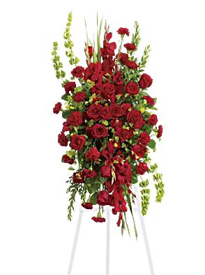 Care and Compassion 184.95.JPG