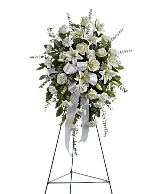 Sentiments of Sympathy