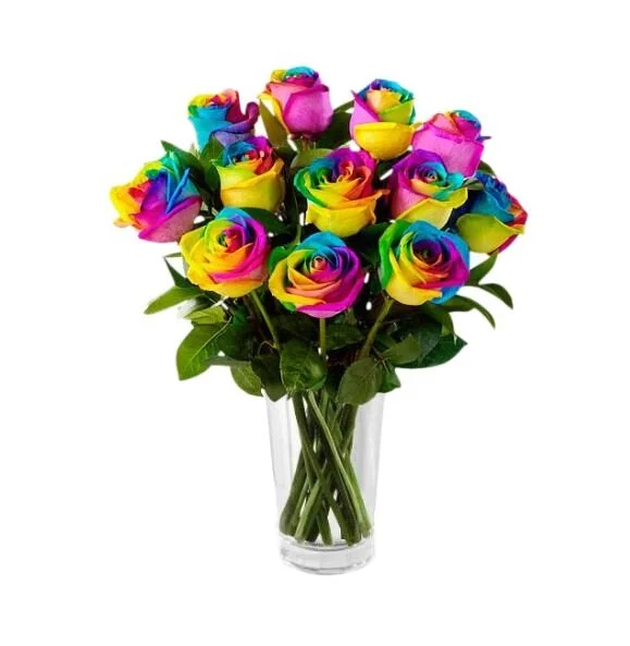 Rainbow Roses - Dozen
