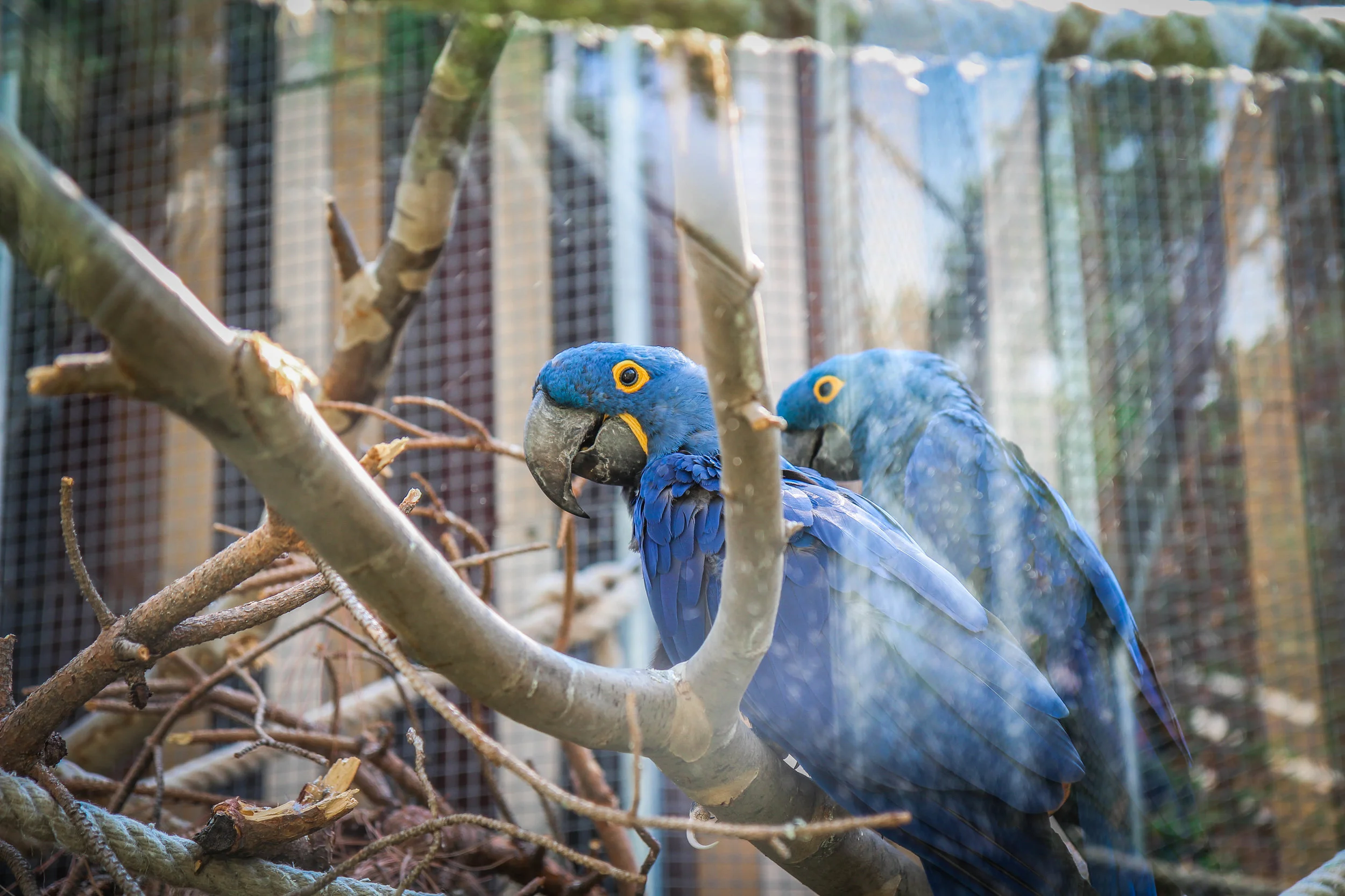 Parc Zoològic de Barcelona9.jpg