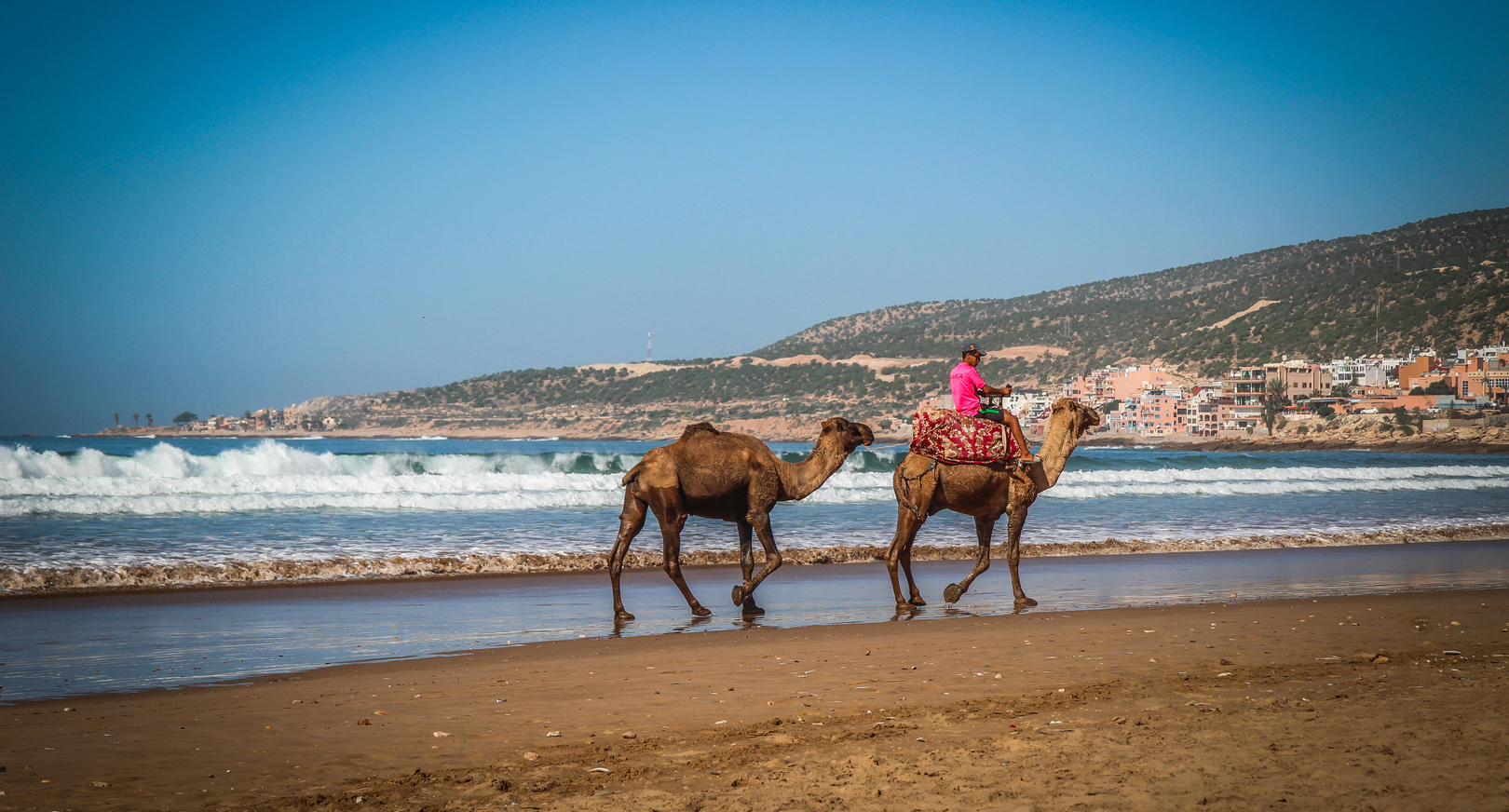 Taghazout - Marokko - Reizen met kinderen - Kameel.jpg