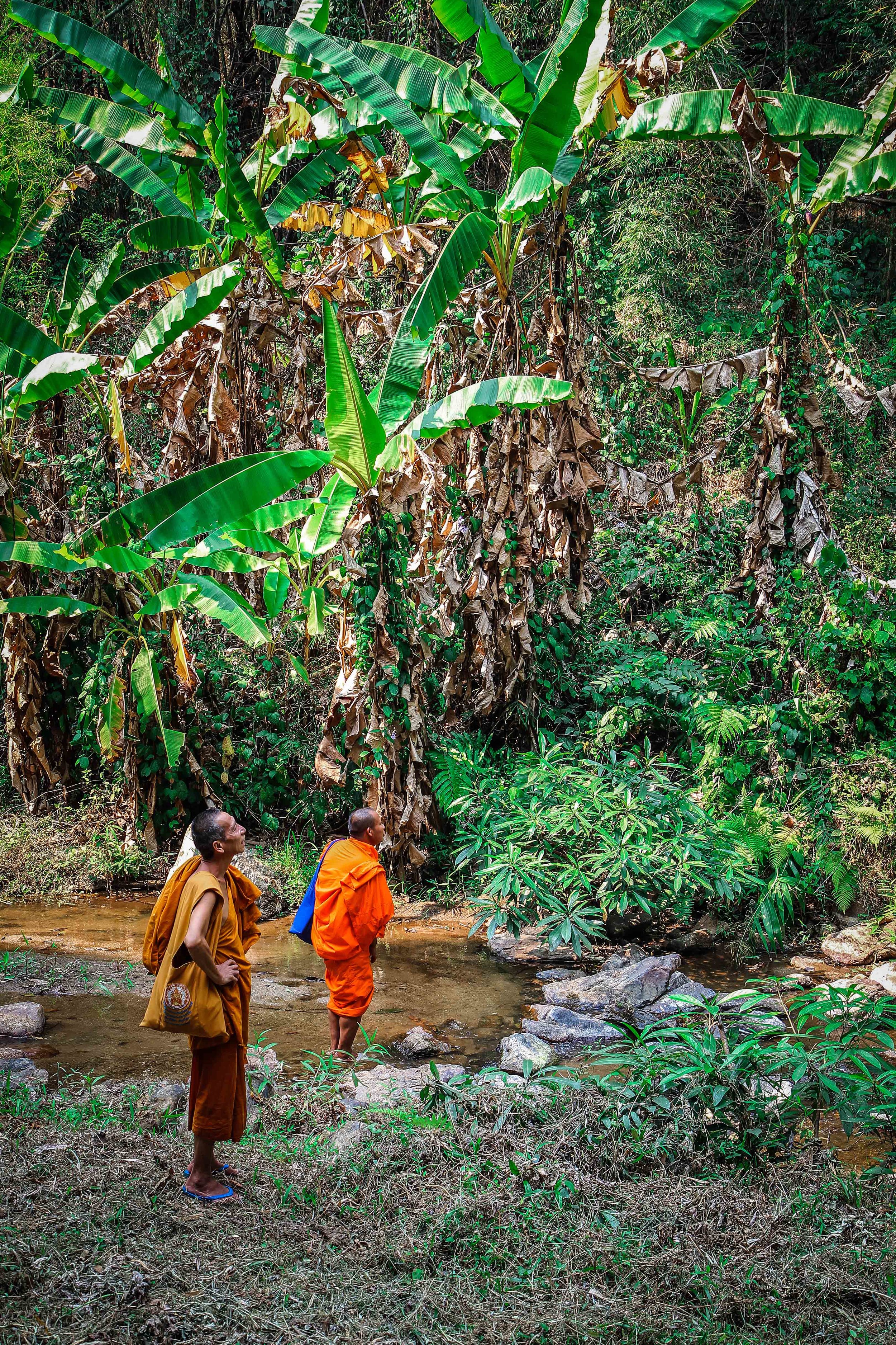 Thailand_Chiangmai_Reizen_met_kinderen_noord (76 van 97).jpg