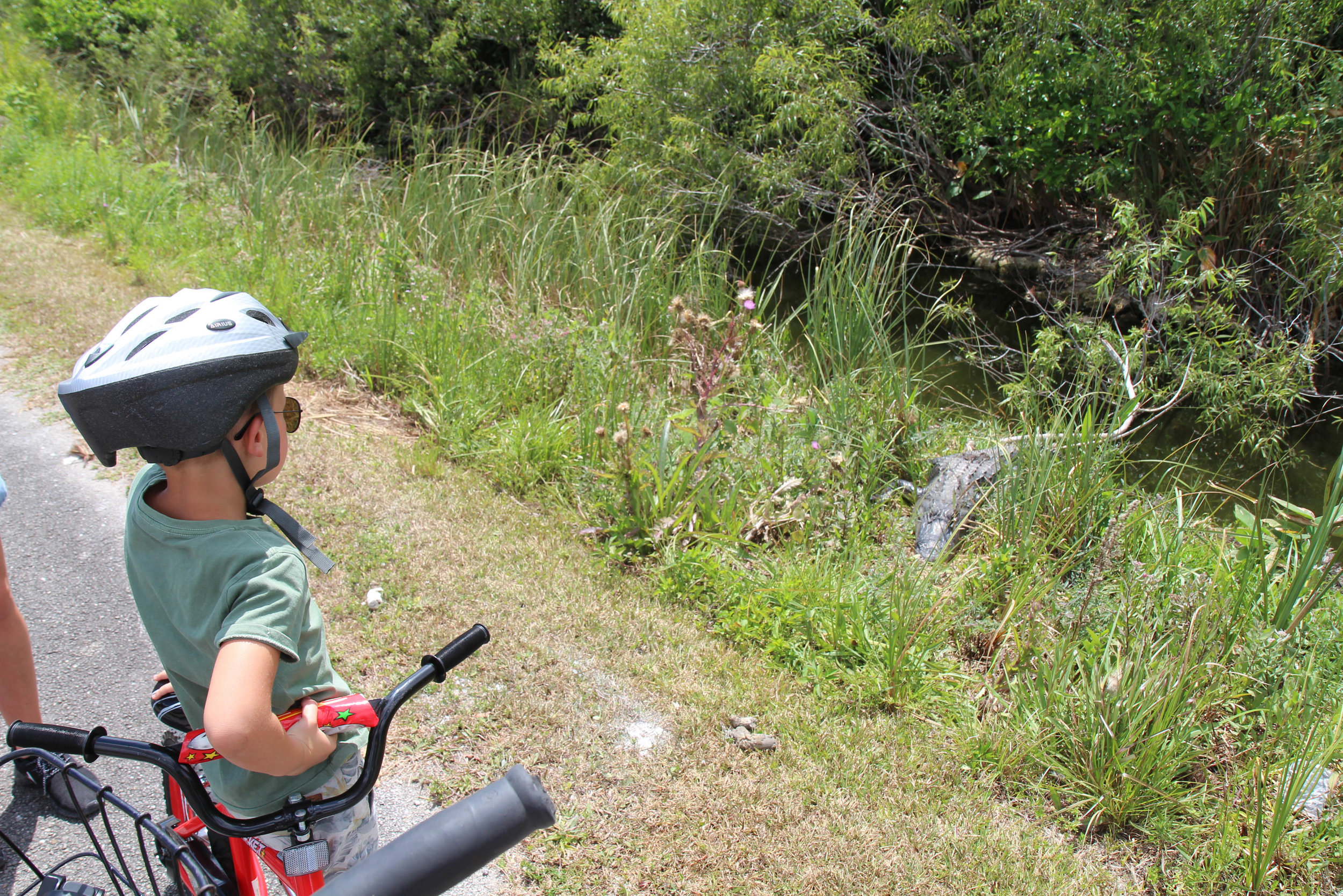 everglades_reizen_met_kinderen_Shark_Valley_Florida_Fietsen-11.jpg