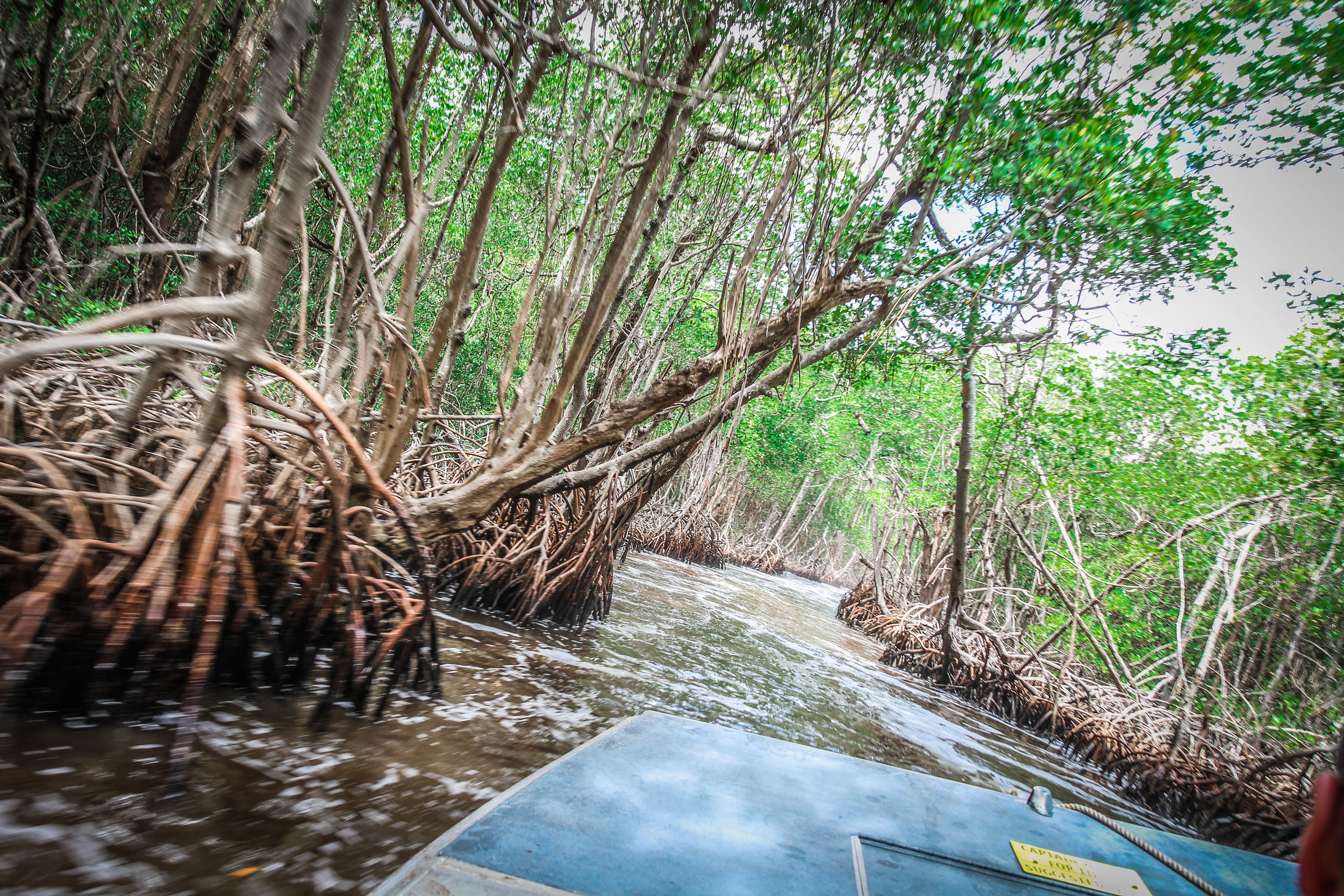 everglades_reizen_met_kinderen_airboat-11.jpg