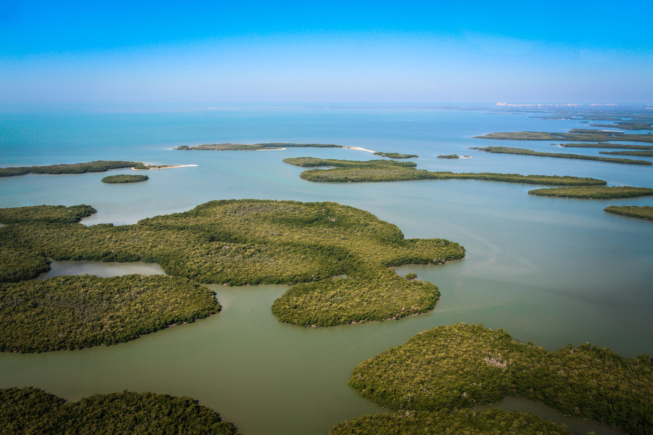 everglades_reizen_met_kinderen_10000_islands_Florida_Everglades_city-6.jpg