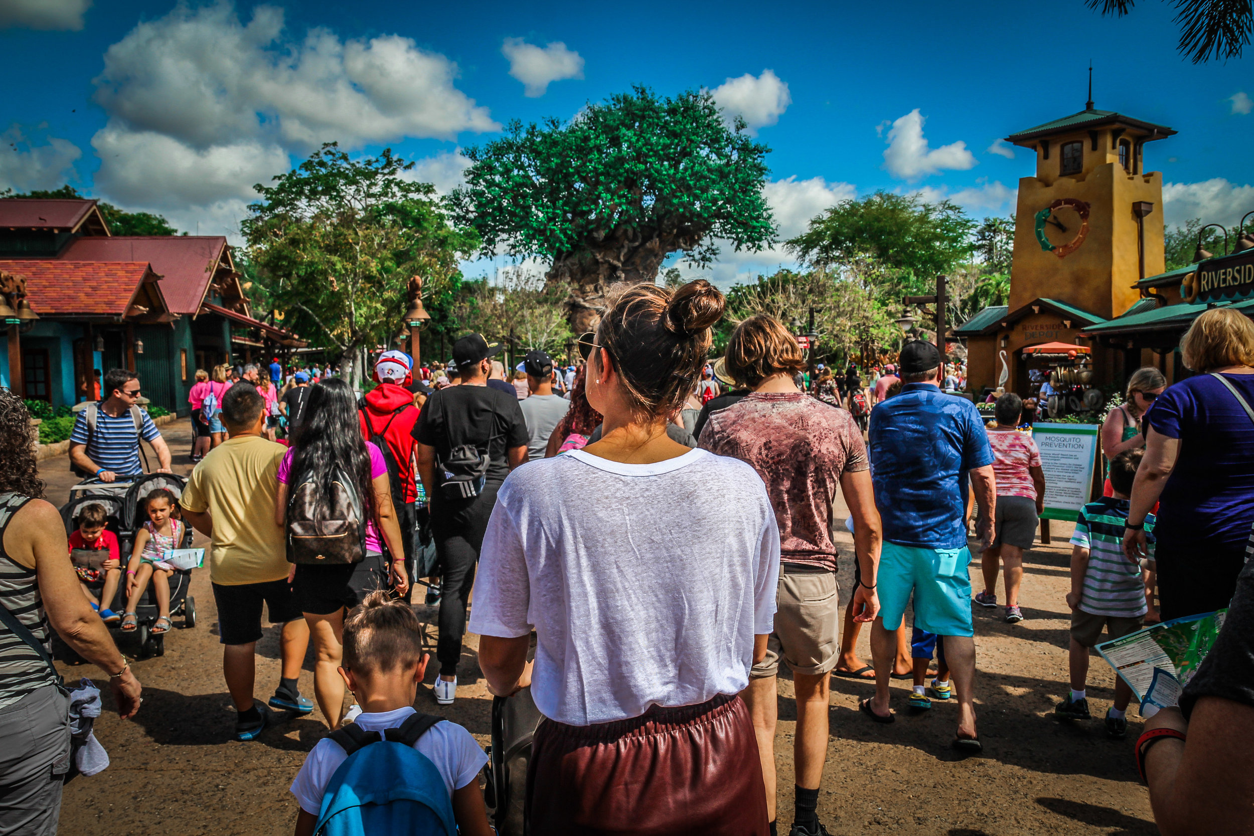 Animal_kingdom_orlando_reizen_met_kinderen-12.jpg