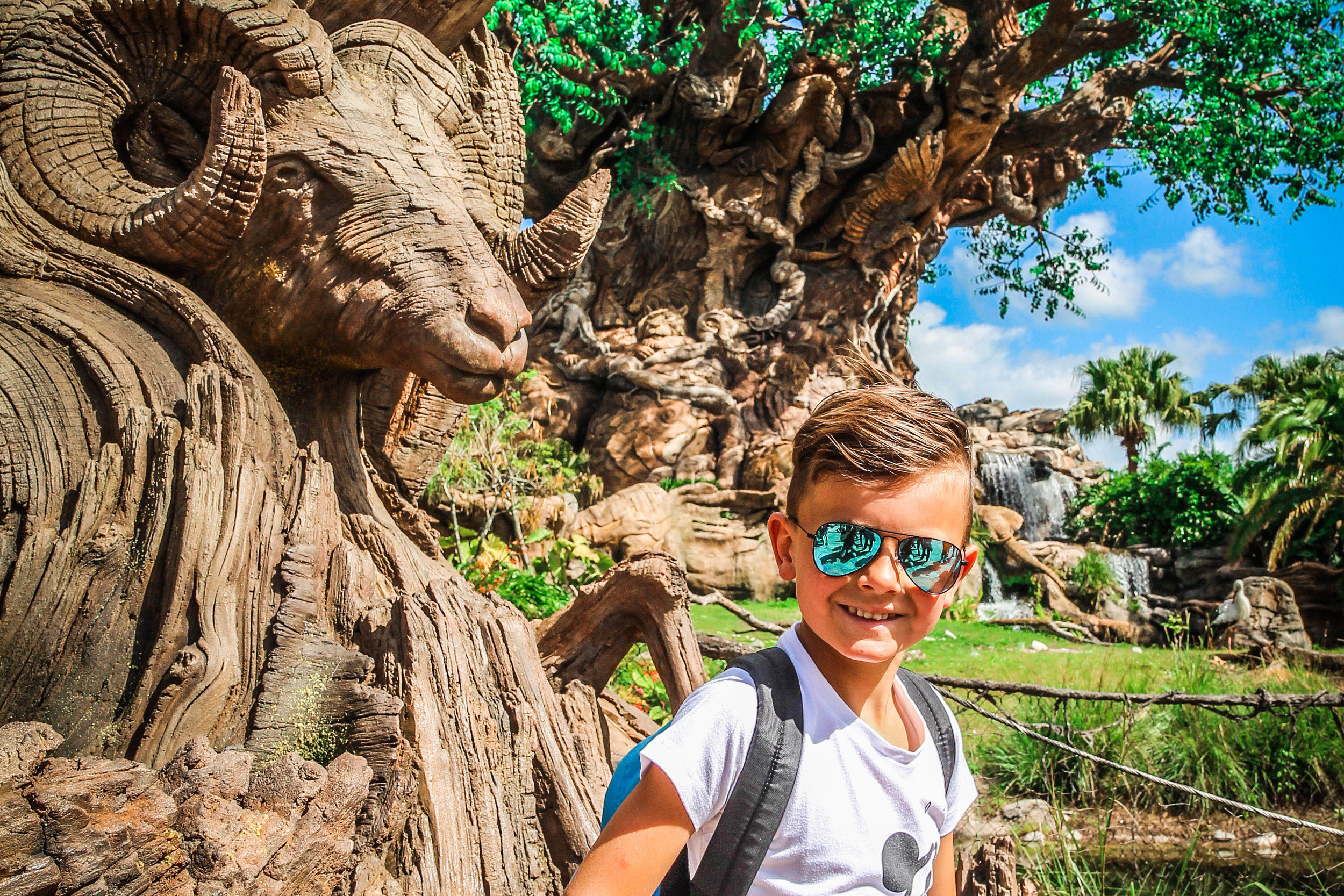 Animal_kingdom_orlando_reizen_met_kinderen-15.jpg