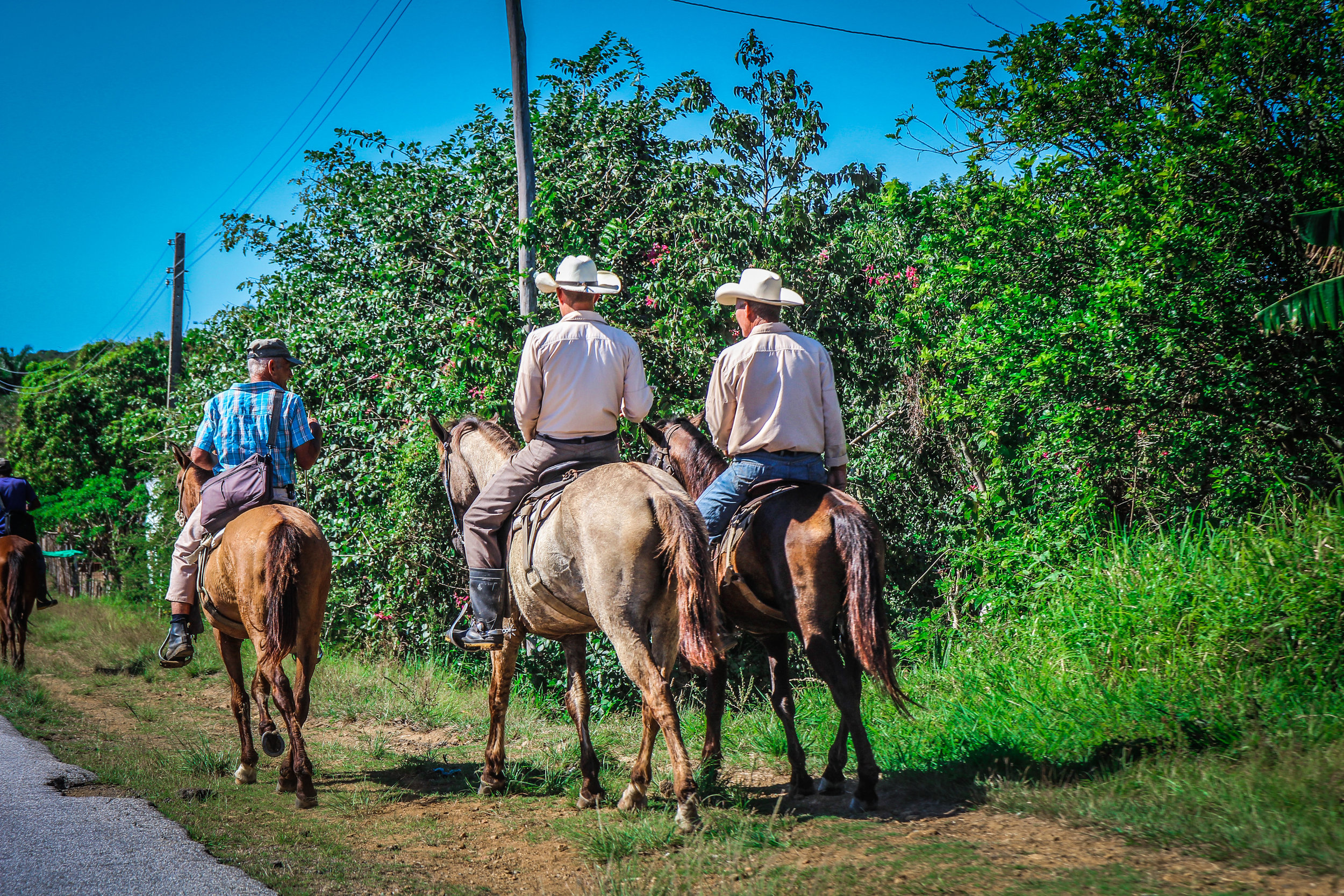 Cuba te paard