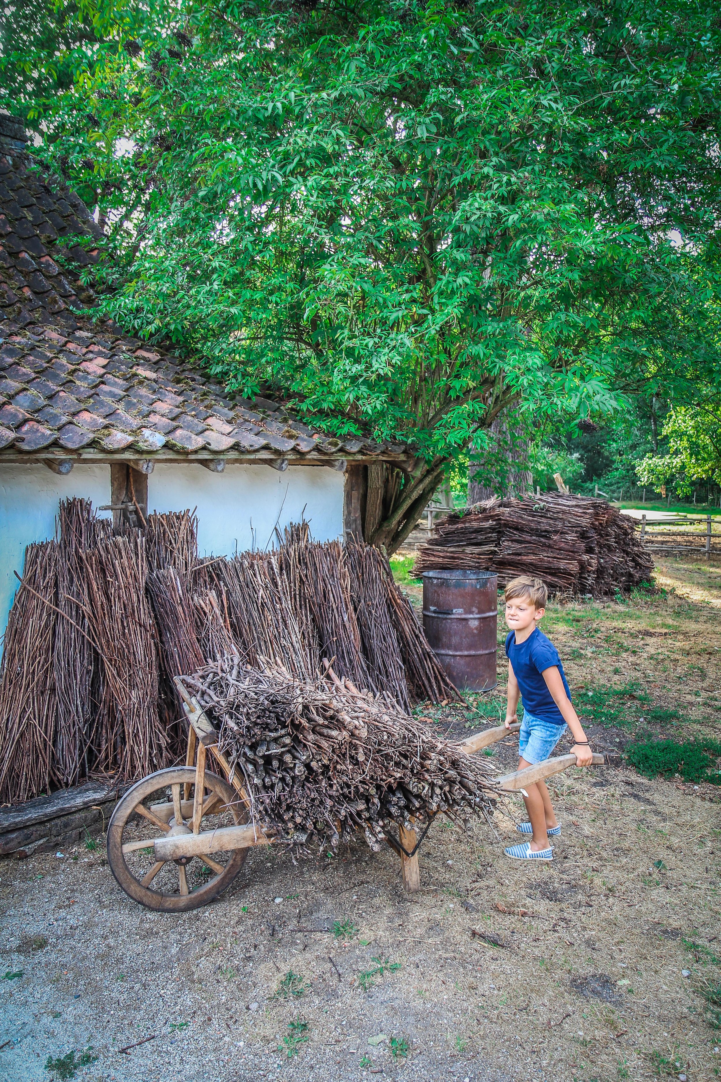 Bokrijk Zomerfestival - Dag uitstap