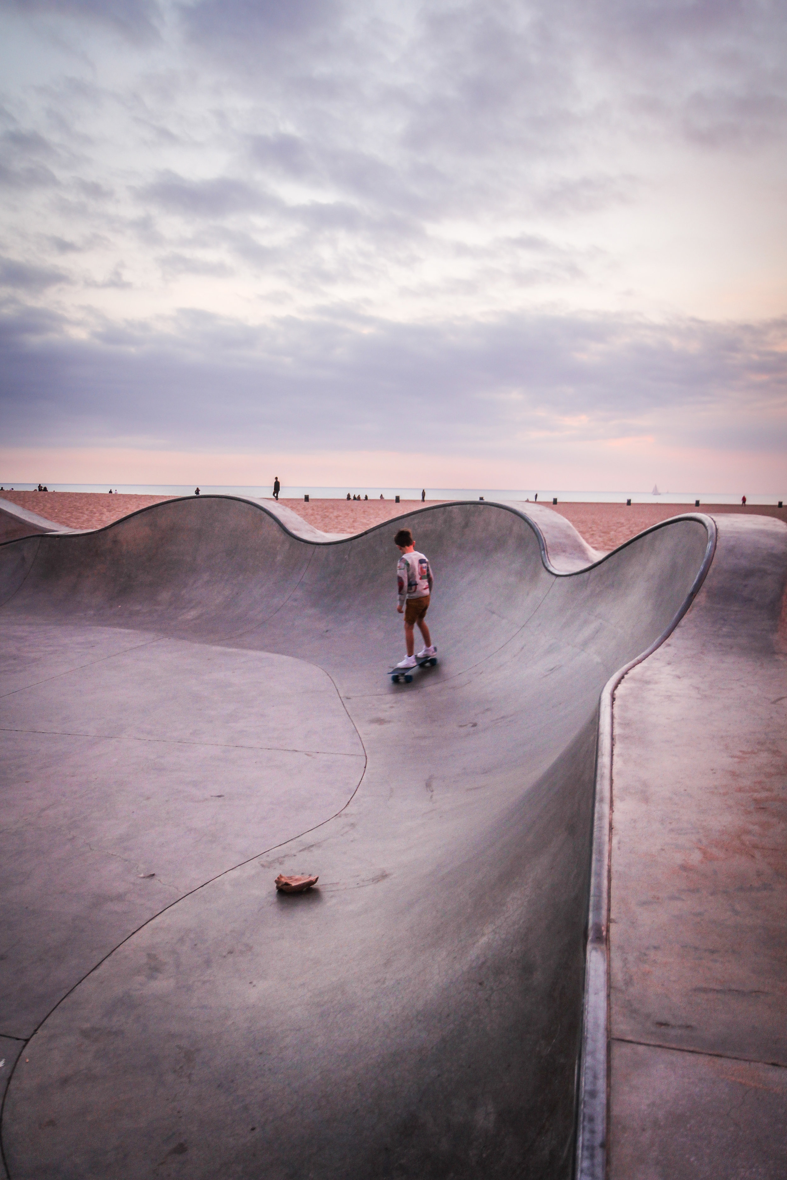 Venice beach skate park