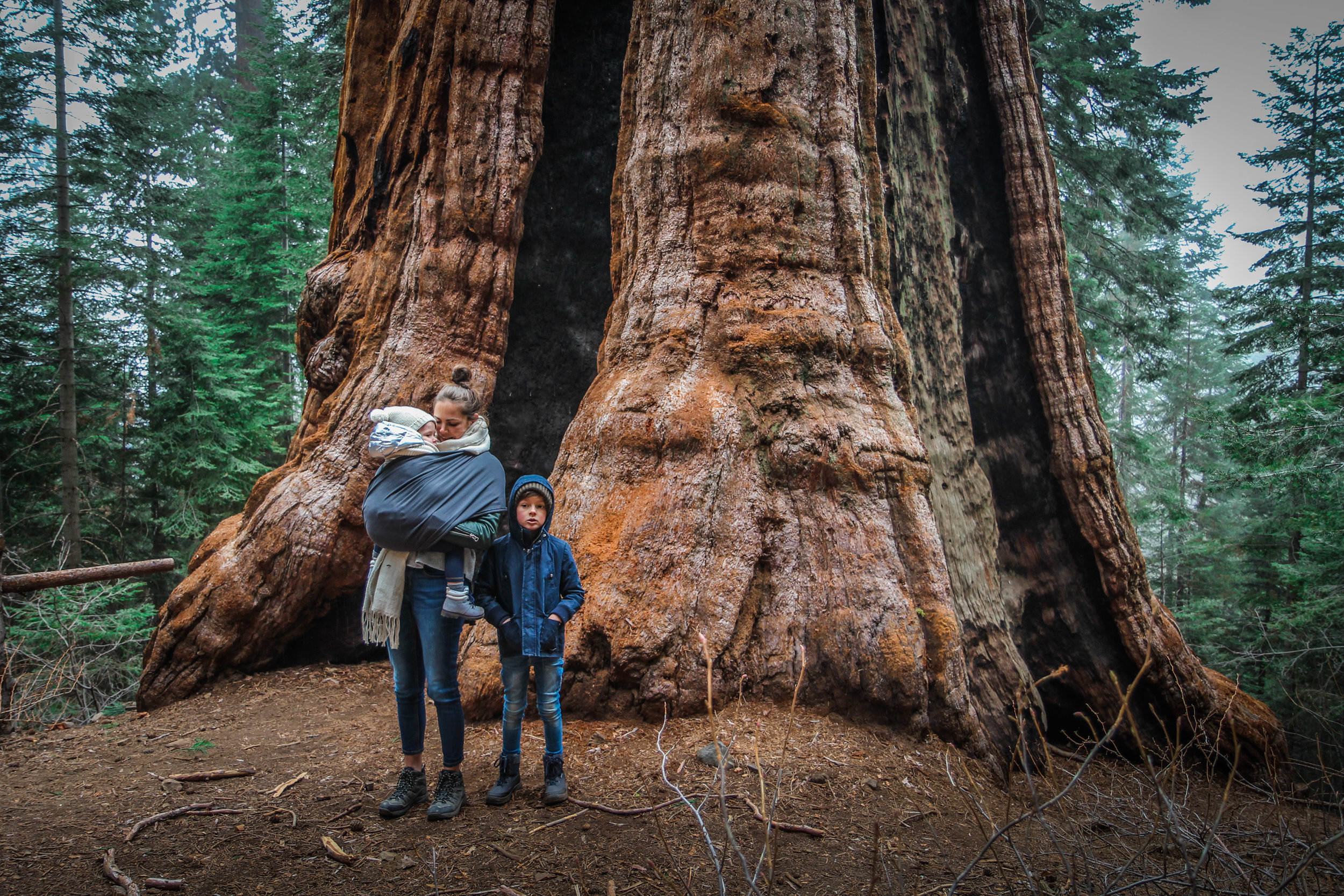 withkidsontheroad_WestKust_Sequoia-20.JPG