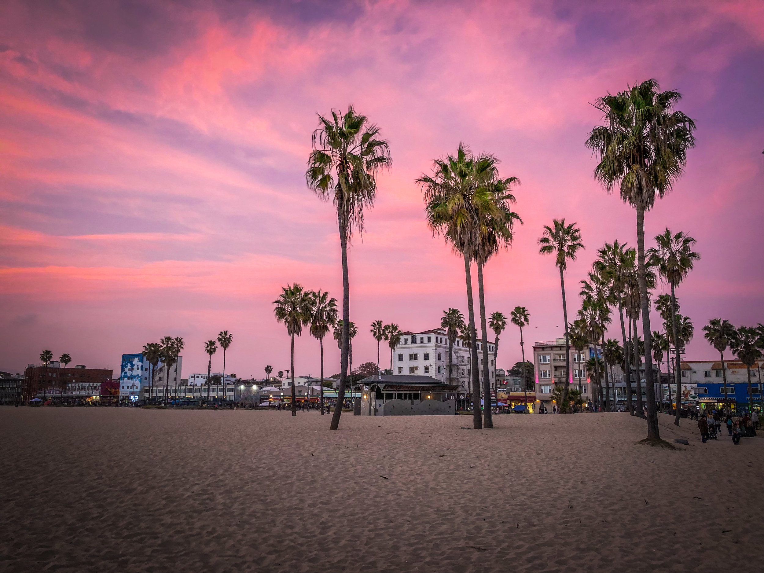 Los angeles  - venice beach skate - reizen met kinderen-19.jpg