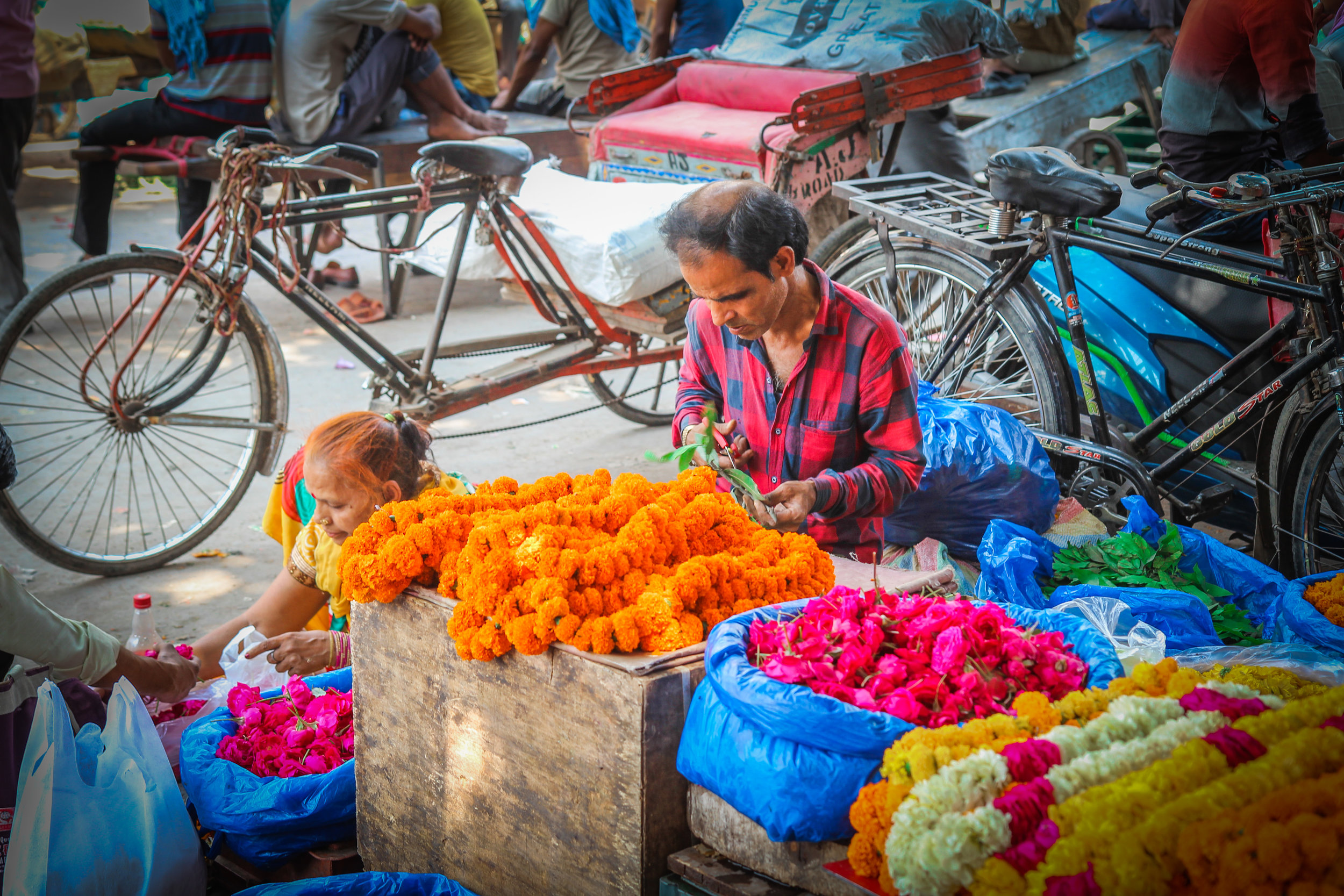 withkidsontheroad_India_chandni_chowk-7.JPG