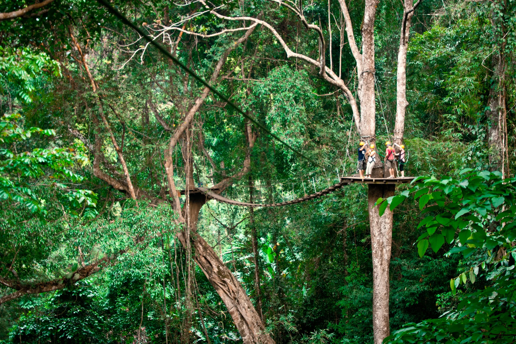 flightofthegibbon6.jpg