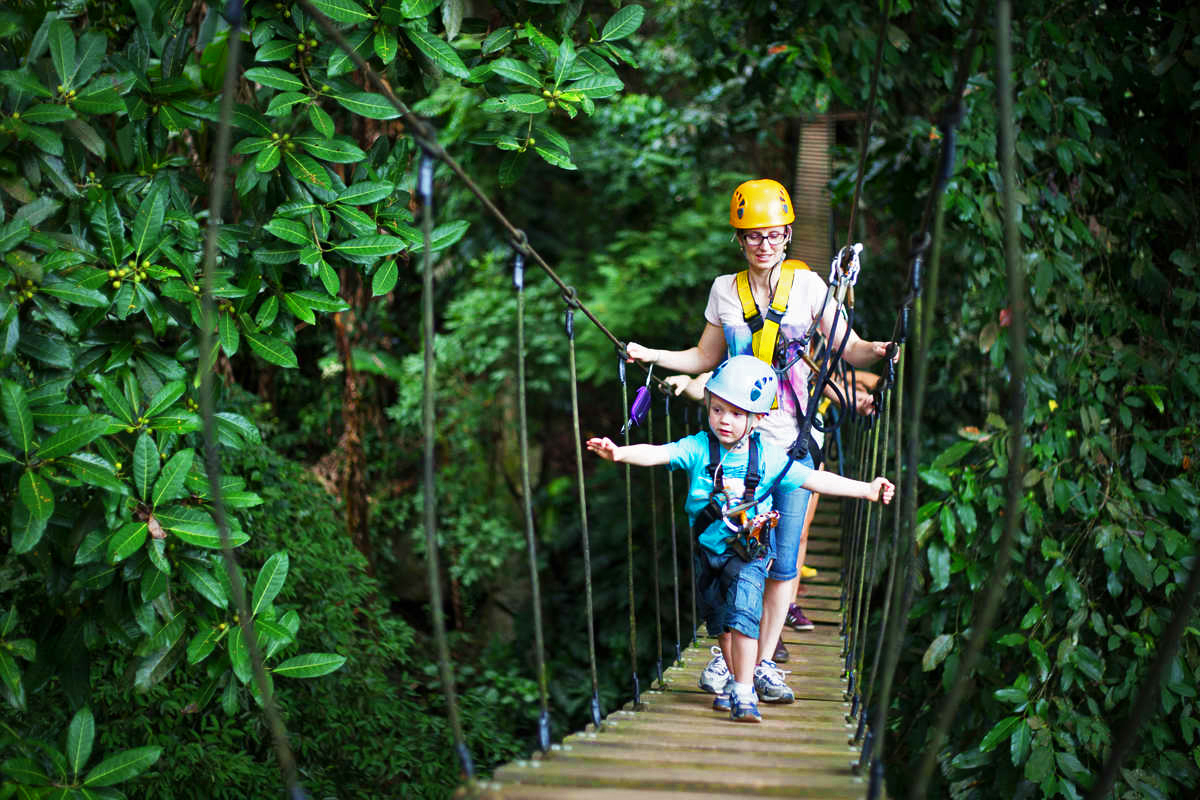 Flight of the Gibbon.