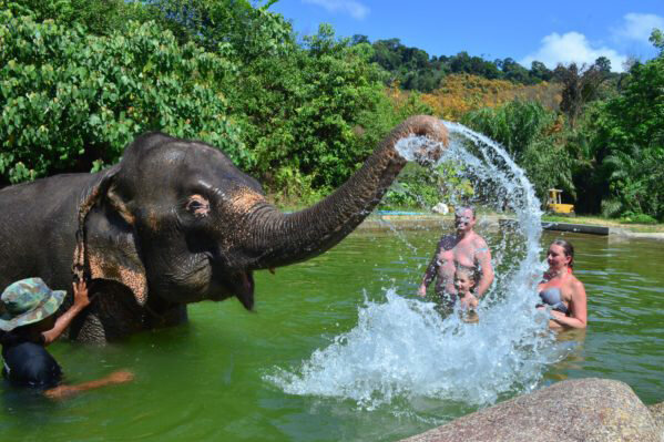 elephant-bath-e1531743599590.jpg