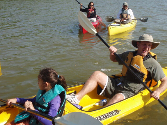 3 uur Kayak Eco Tour