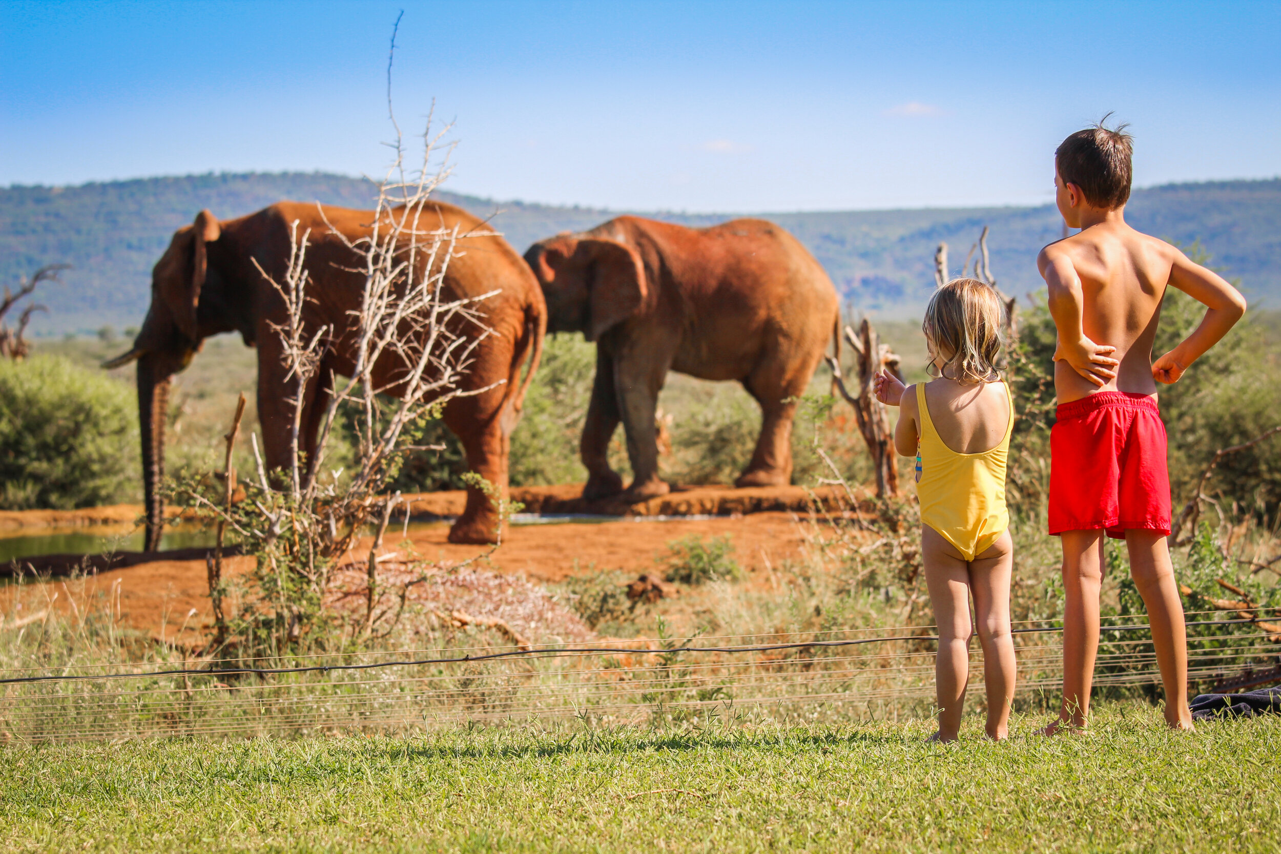 Opwekking Mainstream Opnemen Safari met kinderen: de private game reserves van Marataba en Madikwe in  Zuid-Afrika