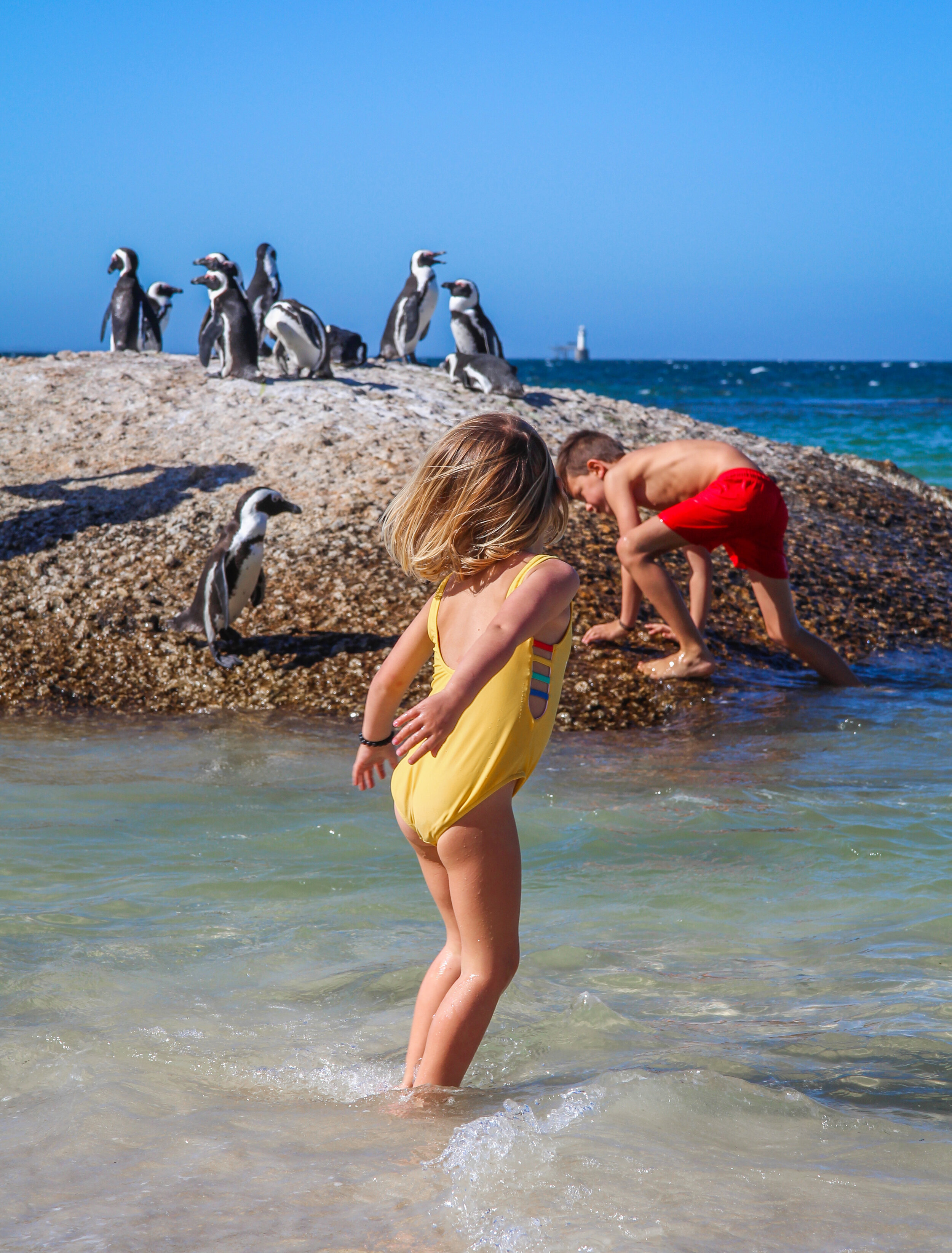 ZuidAfrika_Reizenmetkinderen_muizenberg-17.jpg