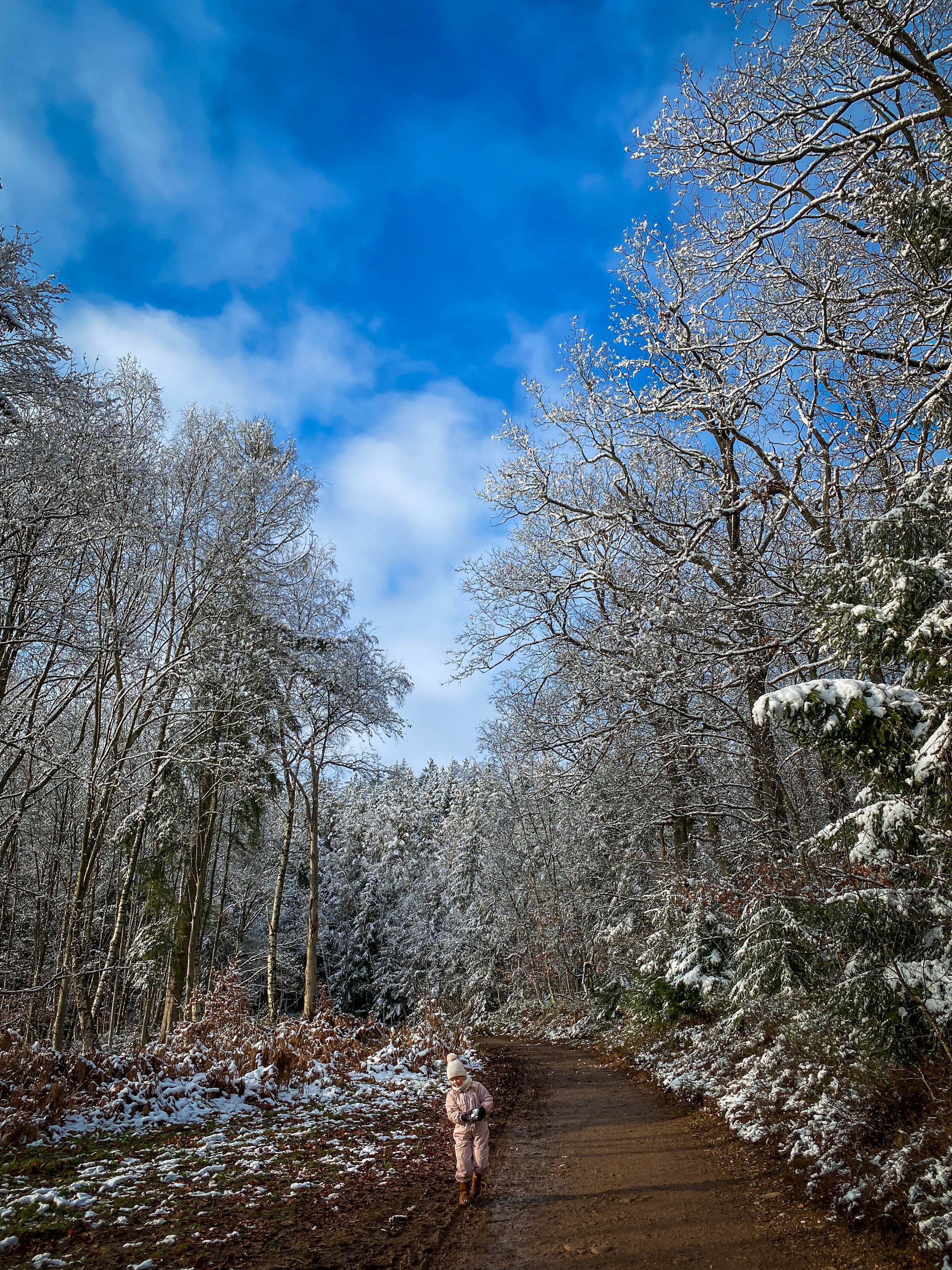 Ardennen_winter-29.jpg