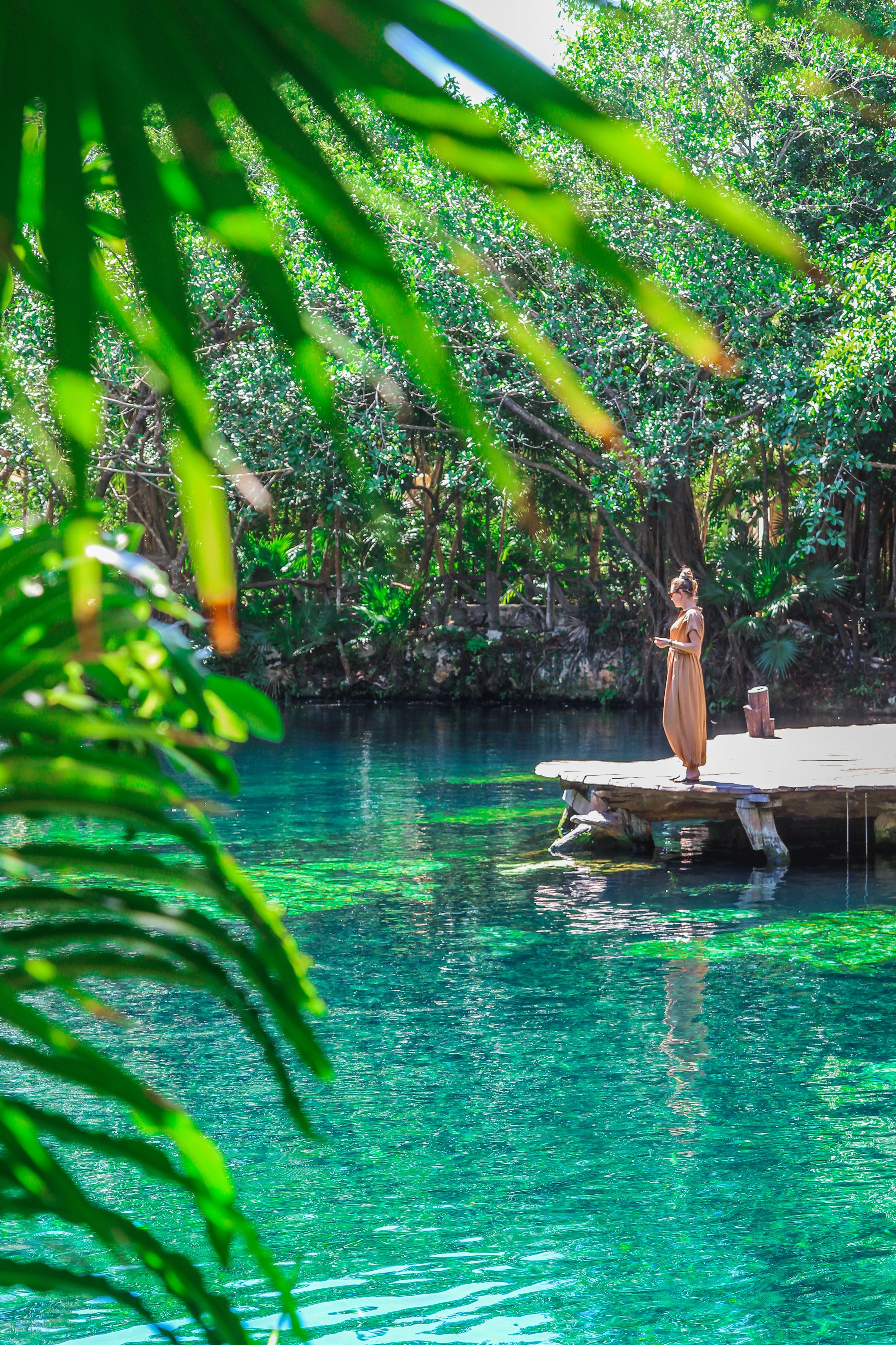 withkidsontheroad_cenotes.JPG