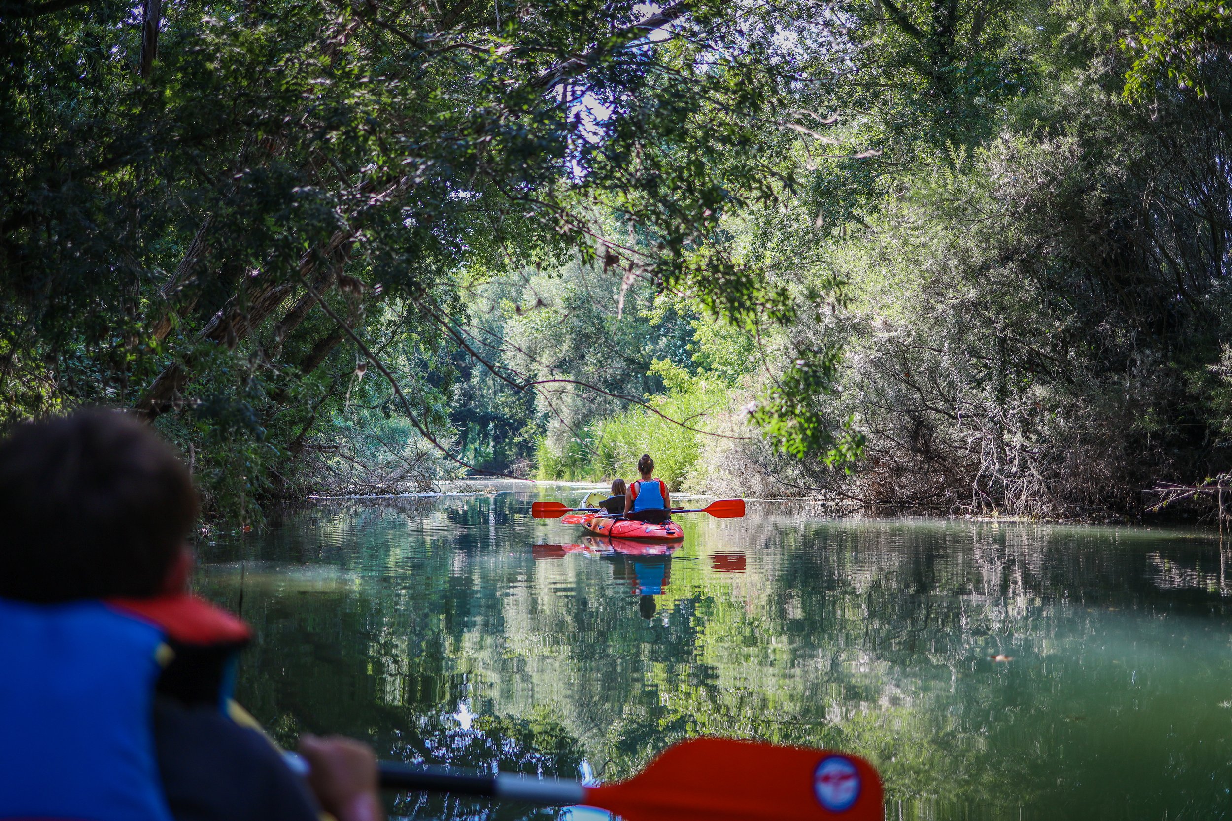 Kayak_El Fluvià_catalunya-11.jpg