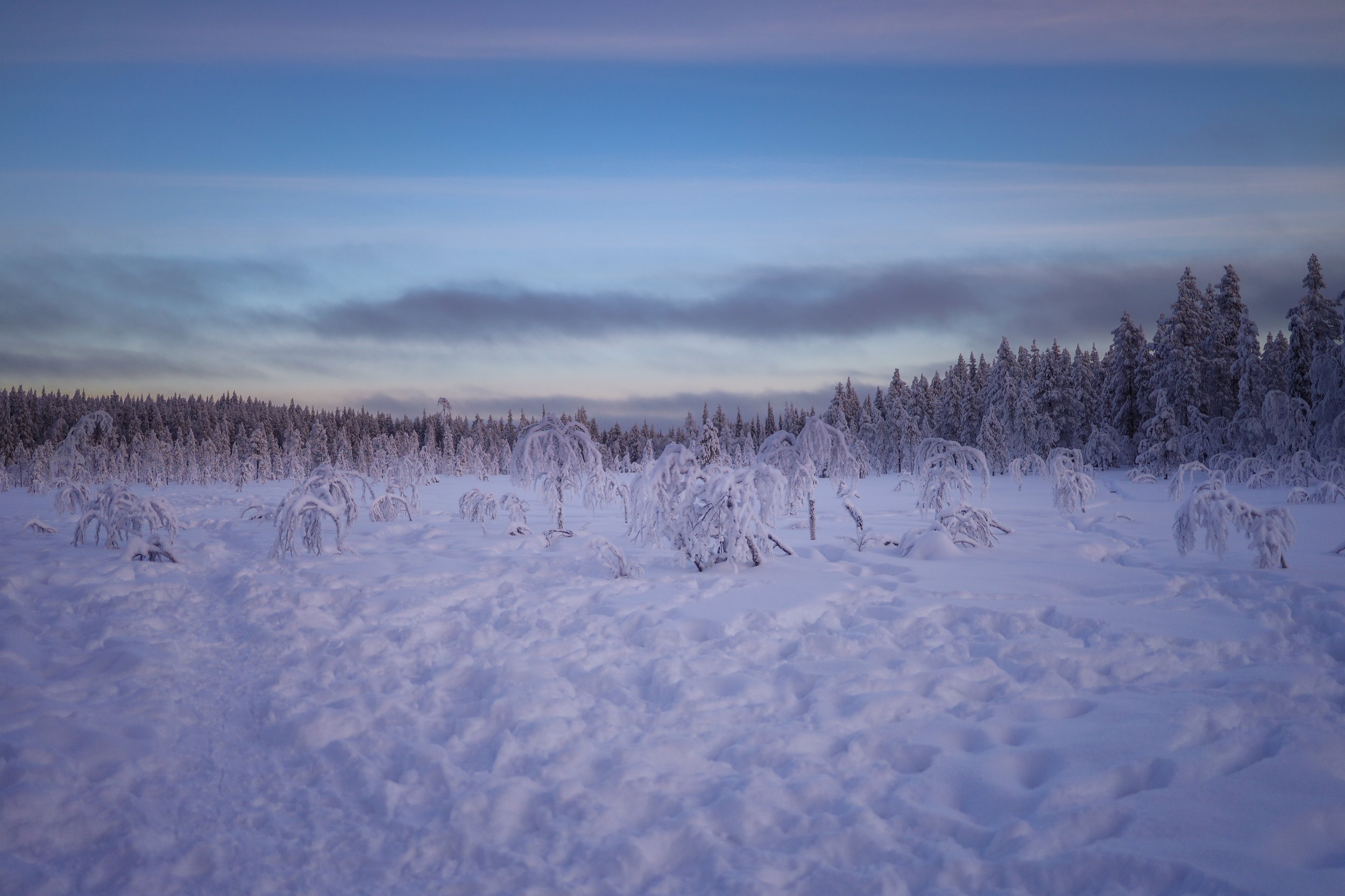 Lapland_dag3-9.jpg