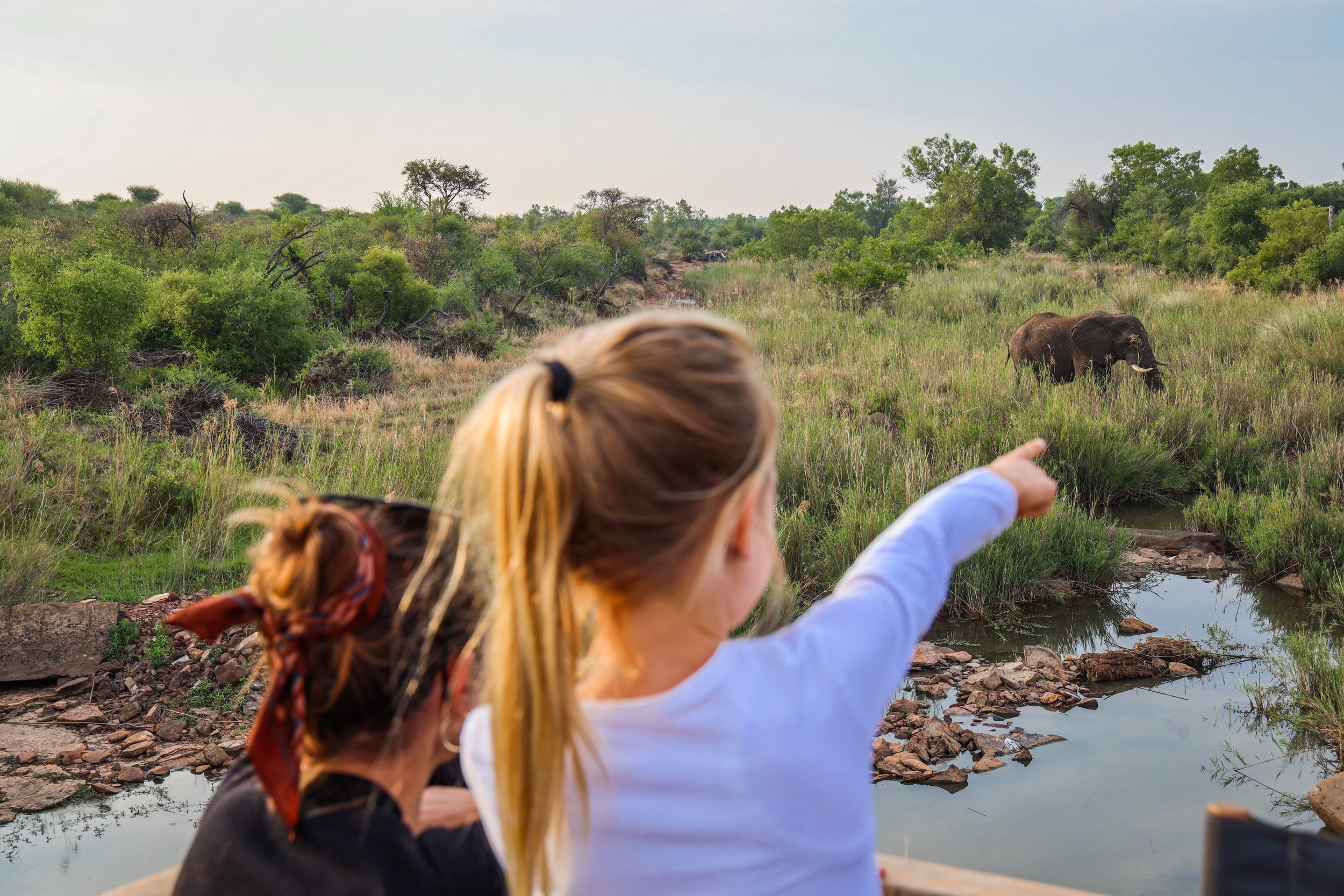 More Marataba Safari Lodge - Reizen naar Zuid Afrika met kinderen_-248.jpg