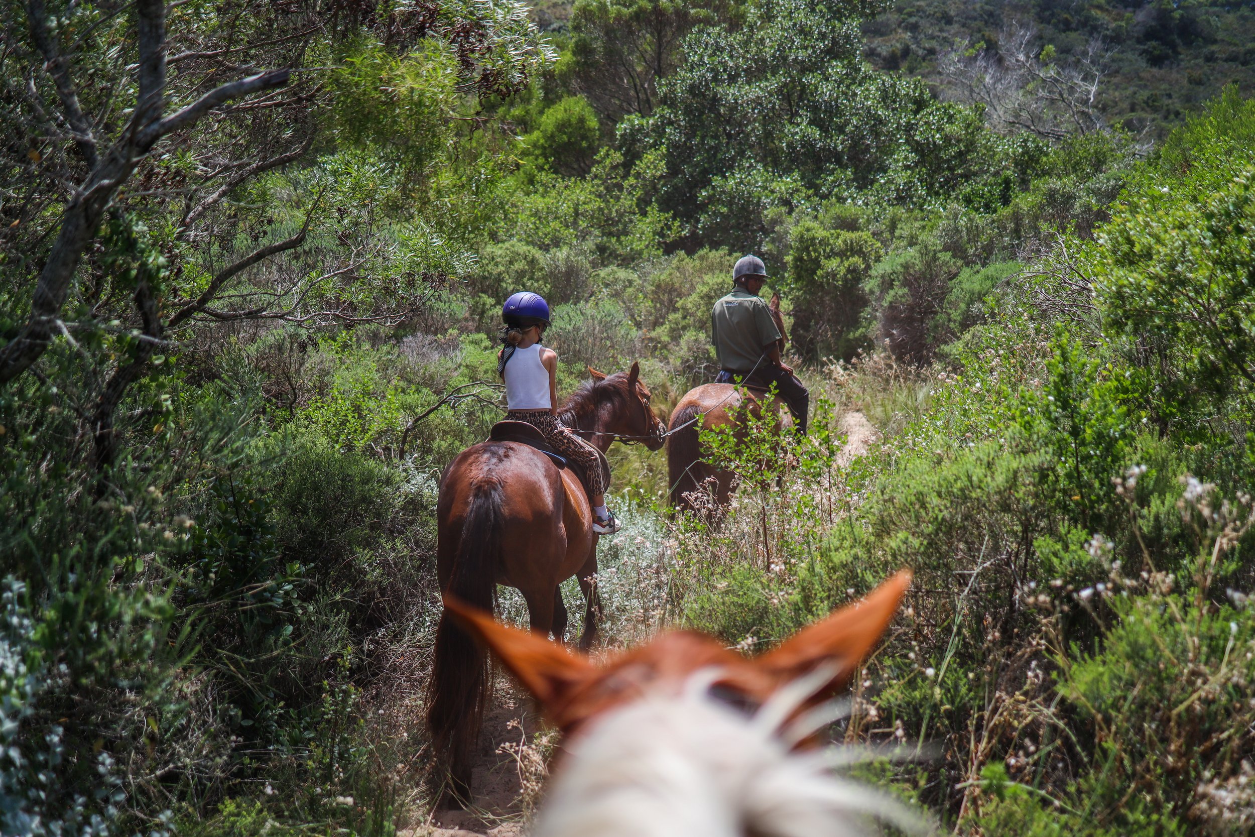 Garden route- horse riding--- Reizen naar Zuid Afrika met kinderen_-54.jpg