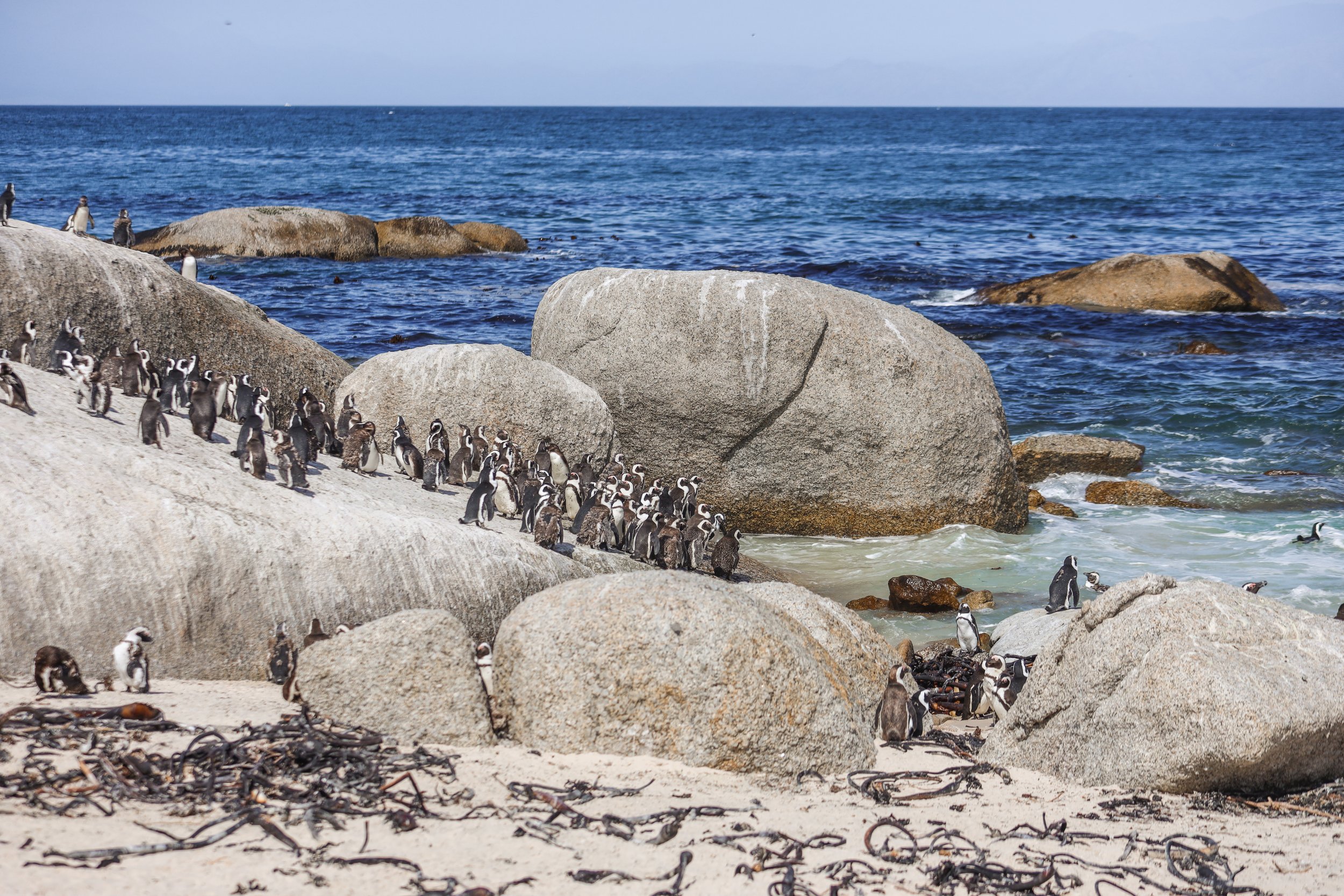 boulders beach - Reizen naar Zuid Afrika met kinderen_-26.jpg