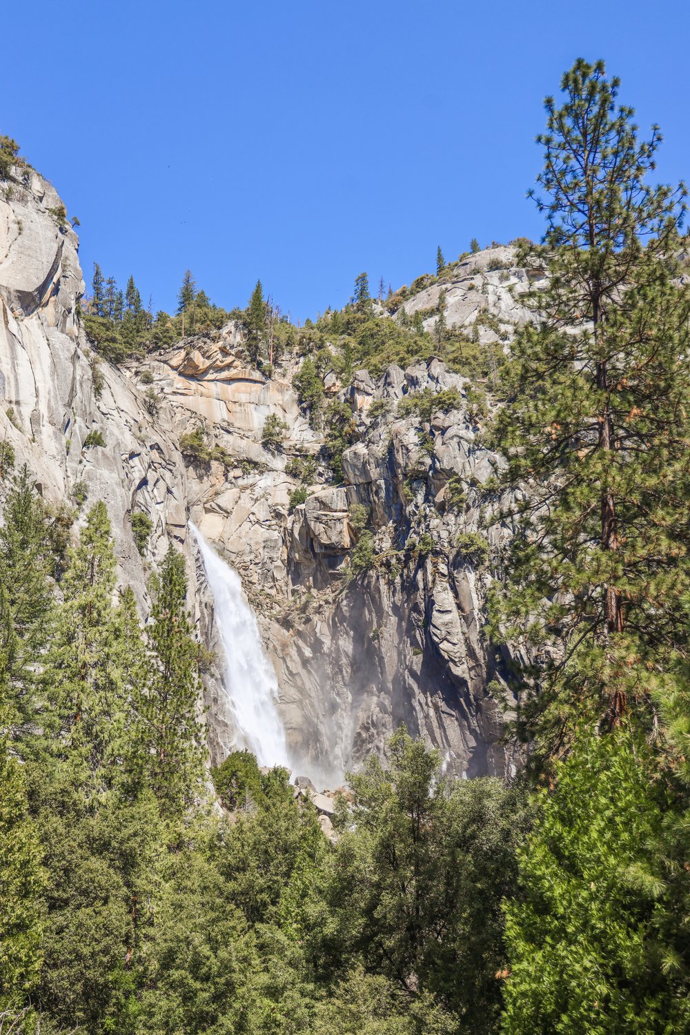 reizen naar West Kust USA - Yosemite_-9.jpg